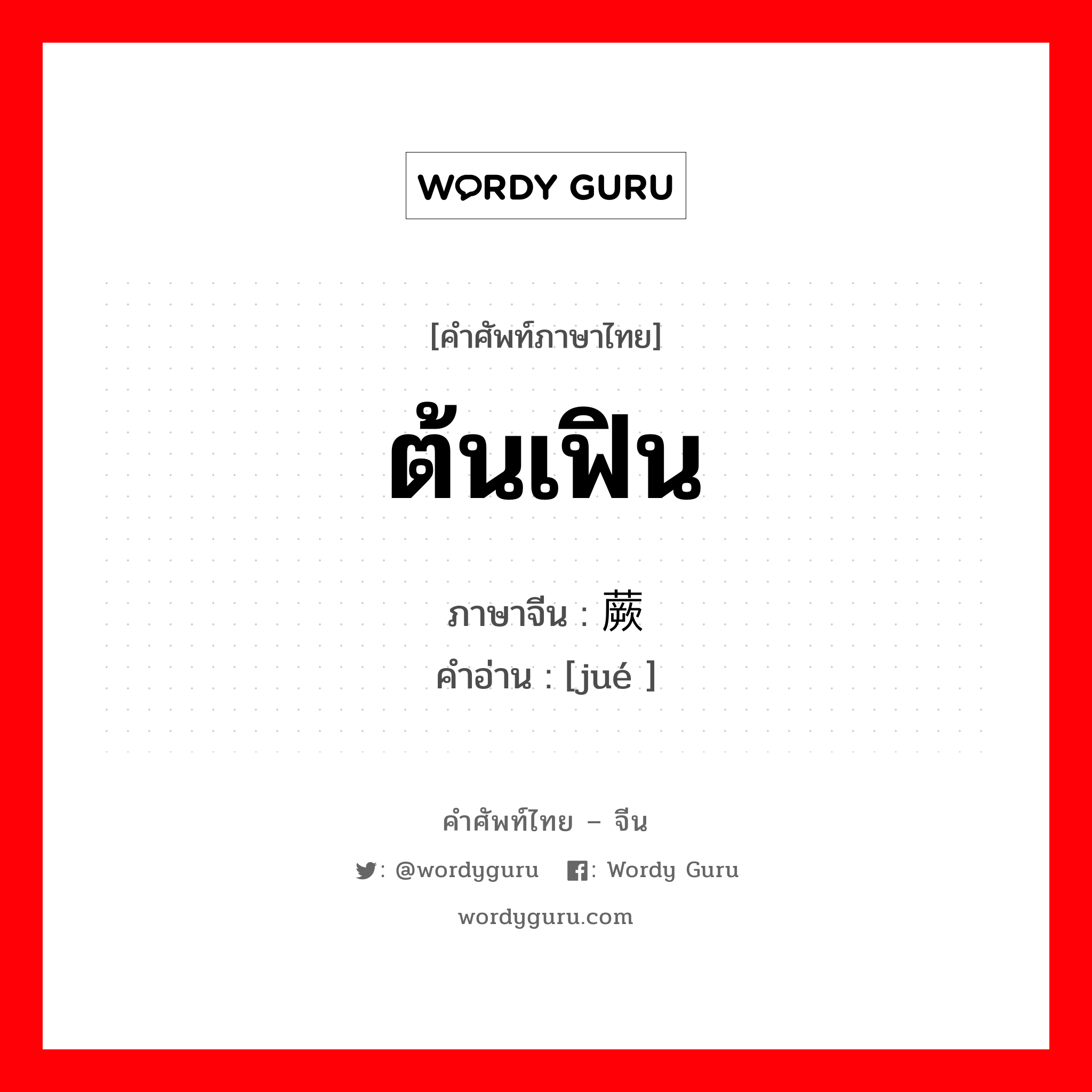 ต้นเฟิน ภาษาจีนคืออะไร, คำศัพท์ภาษาไทย - จีน ต้นเฟิน ภาษาจีน 蕨 คำอ่าน [jué ]