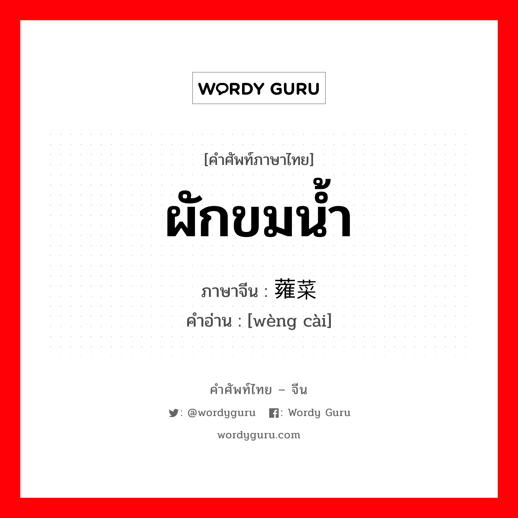 ผักขมน้ำ ภาษาจีนคืออะไร, คำศัพท์ภาษาไทย - จีน ผักขมน้ำ ภาษาจีน 蕹菜 คำอ่าน [wèng cài]