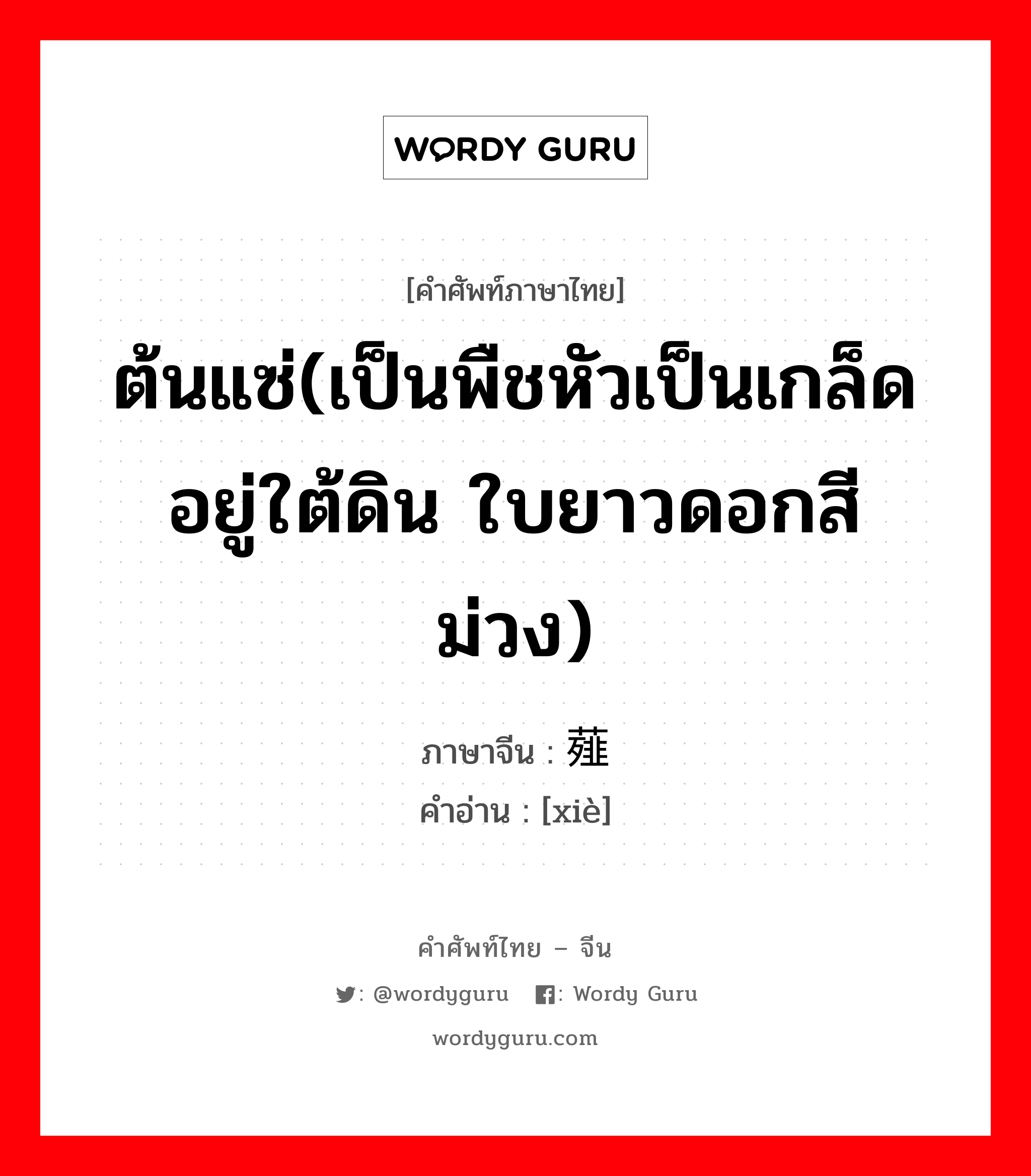 ต้นแซ่(เป็นพืชหัวเป็นเกล็ดอยู่ใต้ดิน ใบยาวดอกสีม่วง) ภาษาจีนคืออะไร, คำศัพท์ภาษาไทย - จีน ต้นแซ่(เป็นพืชหัวเป็นเกล็ดอยู่ใต้ดิน ใบยาวดอกสีม่วง) ภาษาจีน 薤 คำอ่าน [xiè]