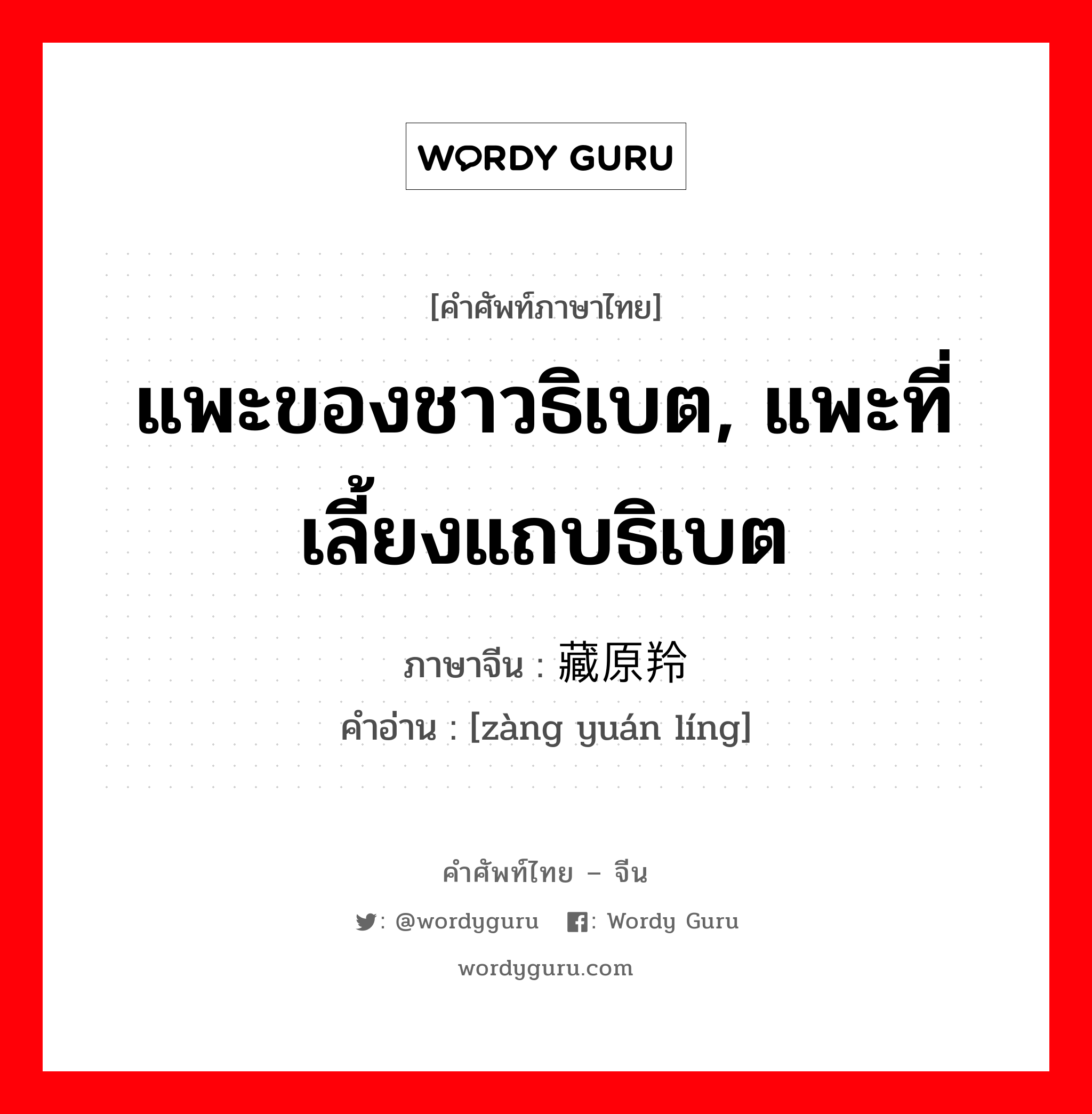 แพะของชาวธิเบต, แพะที่เลี้ยงแถบธิเบต ภาษาจีนคืออะไร, คำศัพท์ภาษาไทย - จีน แพะของชาวธิเบต, แพะที่เลี้ยงแถบธิเบต ภาษาจีน 藏原羚 คำอ่าน [zàng yuán líng]