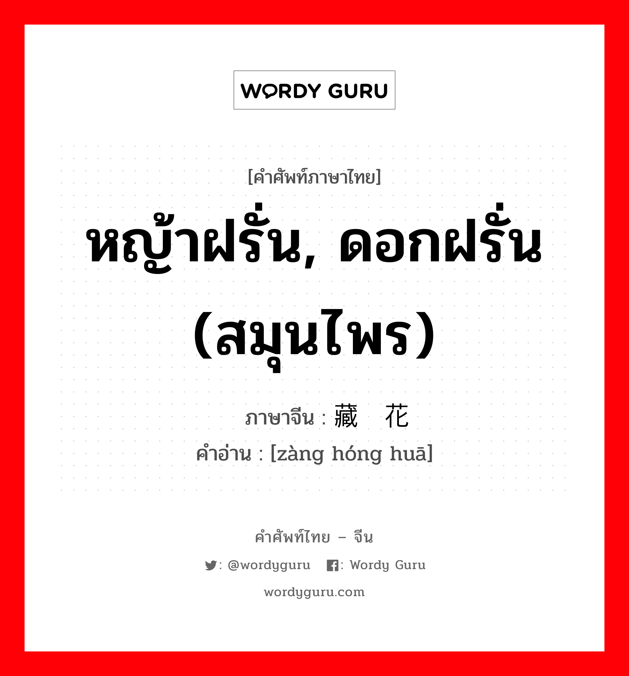 หญ้าฝรั่น, ดอกฝรั่น (สมุนไพร) ภาษาจีนคืออะไร, คำศัพท์ภาษาไทย - จีน หญ้าฝรั่น, ดอกฝรั่น (สมุนไพร) ภาษาจีน 藏红花 คำอ่าน [zàng hóng huā]