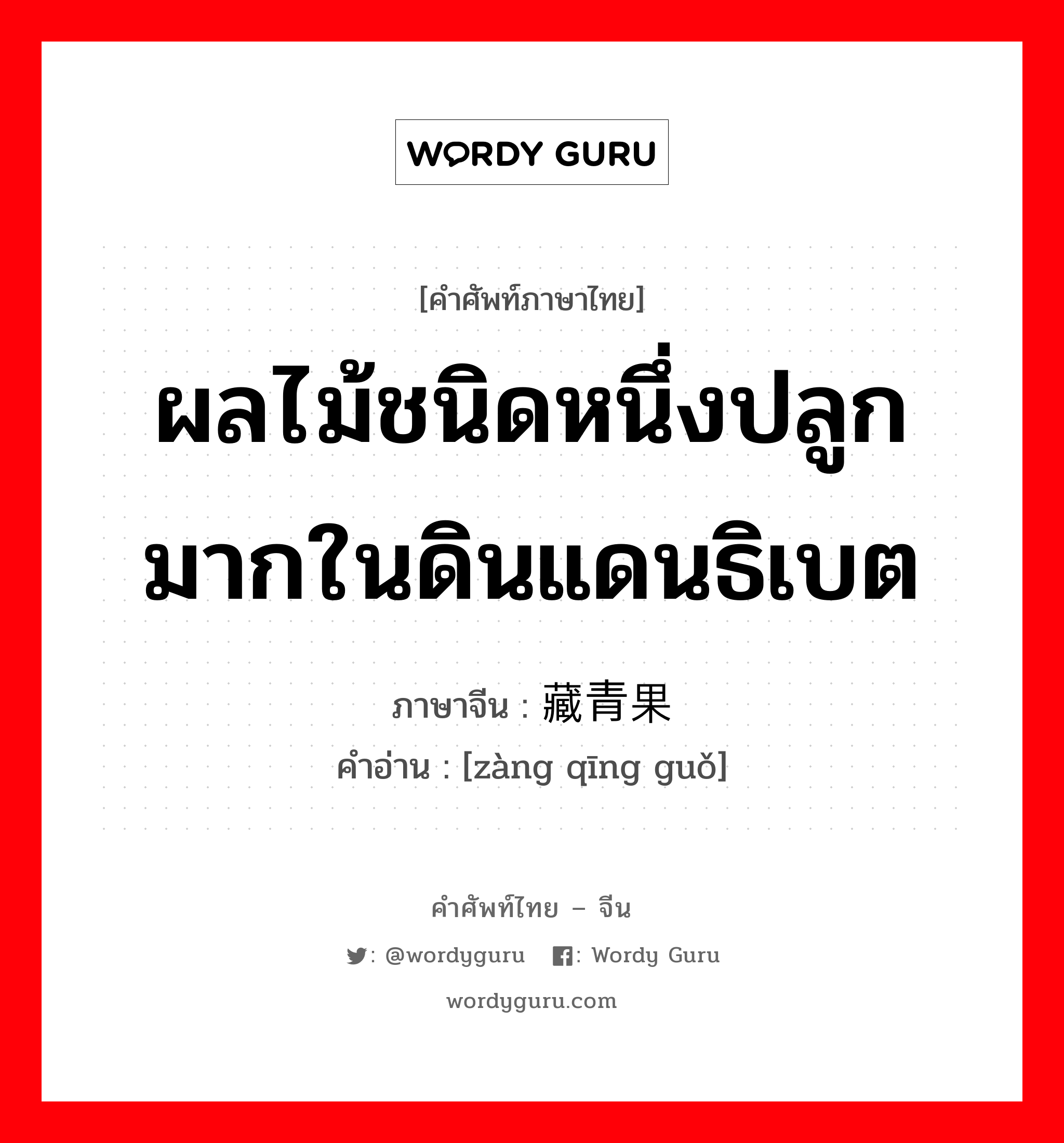 ผลไม้ชนิดหนึ่งปลูกมากในดินแดนธิเบต ภาษาจีนคืออะไร, คำศัพท์ภาษาไทย - จีน ผลไม้ชนิดหนึ่งปลูกมากในดินแดนธิเบต ภาษาจีน 藏青果 คำอ่าน [zàng qīng guǒ]