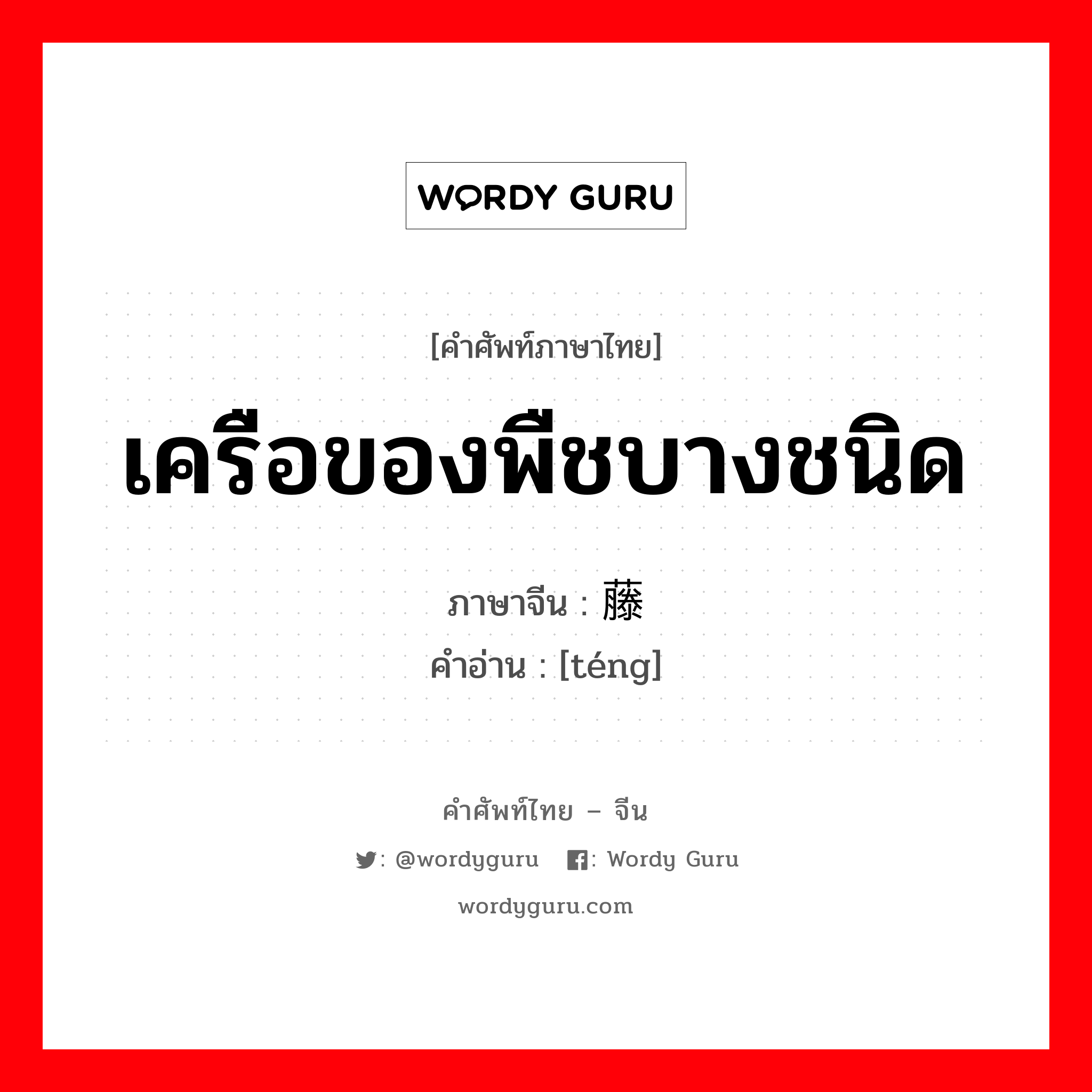 เครือของพืชบางชนิด ภาษาจีนคืออะไร, คำศัพท์ภาษาไทย - จีน เครือของพืชบางชนิด ภาษาจีน 藤 คำอ่าน [téng]