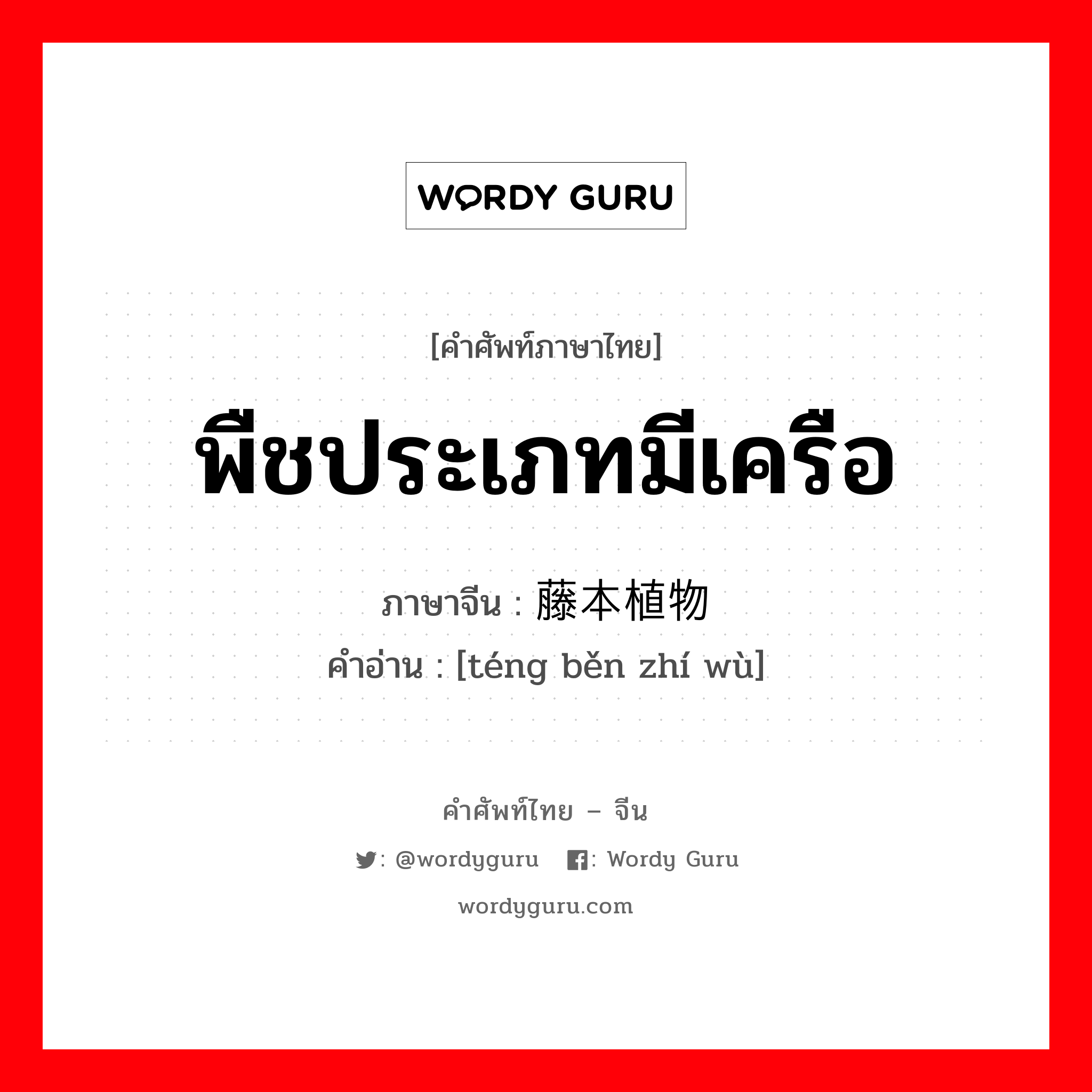 พืชประเภทมีเครือ ภาษาจีนคืออะไร, คำศัพท์ภาษาไทย - จีน พืชประเภทมีเครือ ภาษาจีน 藤本植物 คำอ่าน [téng běn zhí wù]