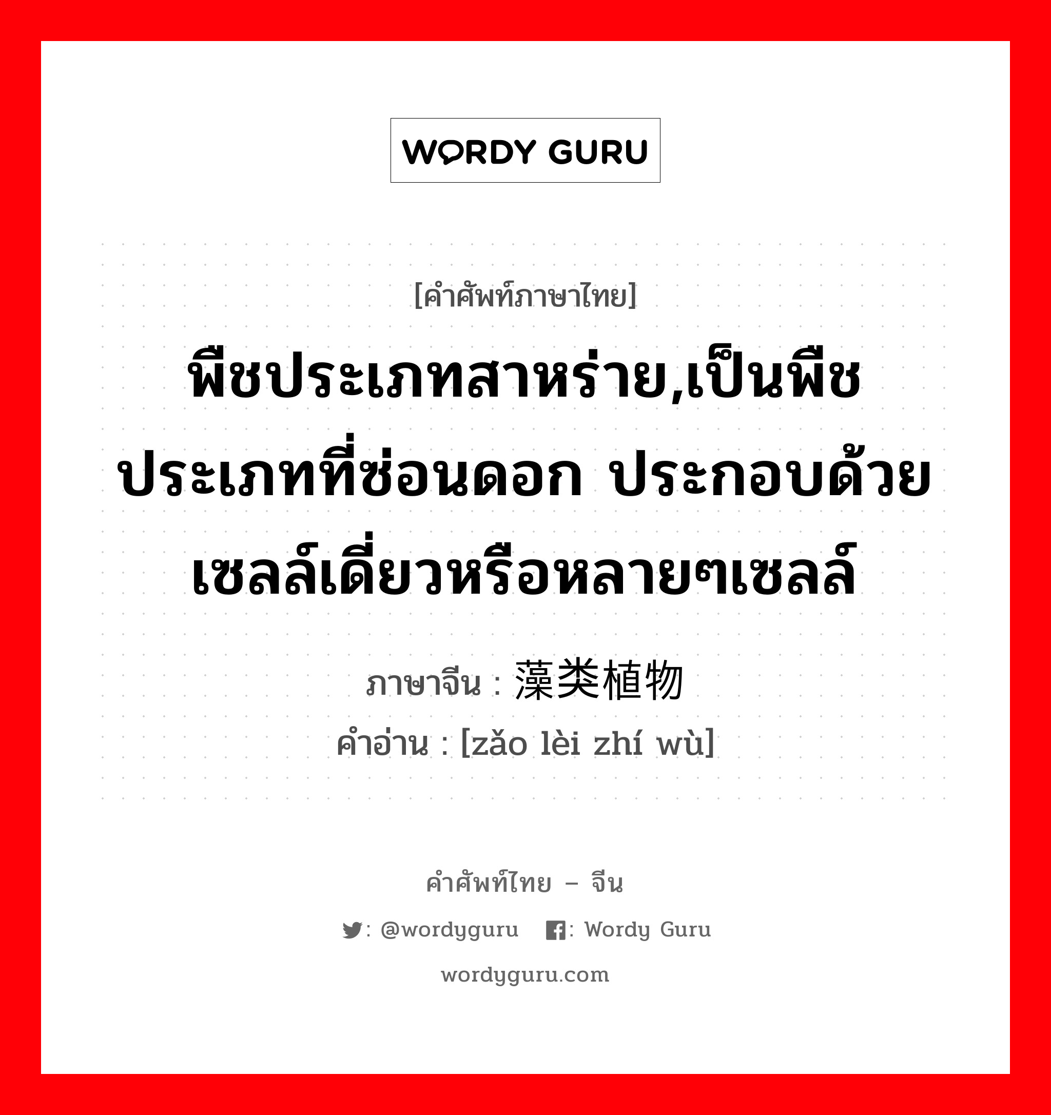 พืชประเภทสาหร่าย,เป็นพืชประเภทที่ซ่อนดอก ประกอบด้วยเซลล์เดี่ยวหรือหลายๆเซลล์ ภาษาจีนคืออะไร, คำศัพท์ภาษาไทย - จีน พืชประเภทสาหร่าย,เป็นพืชประเภทที่ซ่อนดอก ประกอบด้วยเซลล์เดี่ยวหรือหลายๆเซลล์ ภาษาจีน 藻类植物 คำอ่าน [zǎo lèi zhí wù]