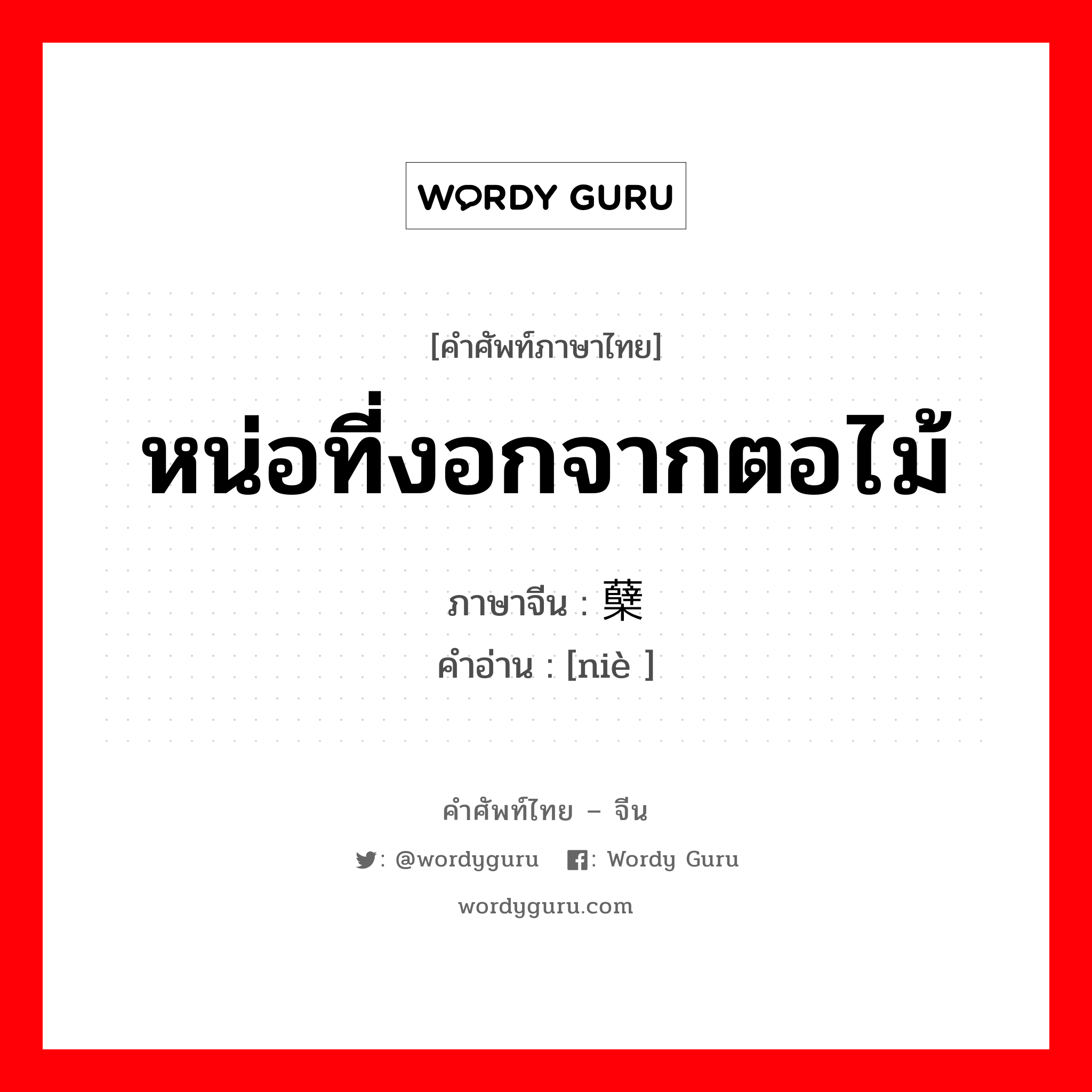 หน่อที่งอกจากตอไม้ ภาษาจีนคืออะไร, คำศัพท์ภาษาไทย - จีน หน่อที่งอกจากตอไม้ ภาษาจีน 蘖 คำอ่าน [niè ]