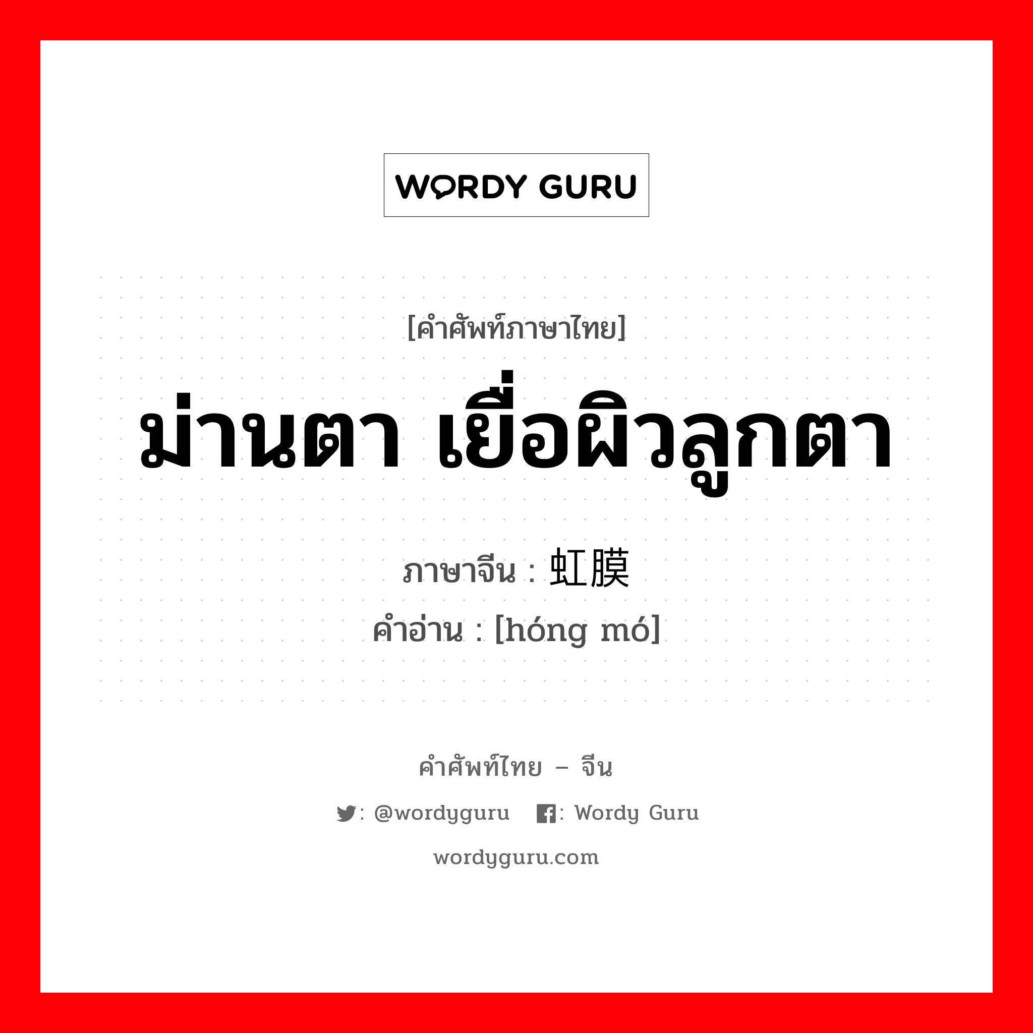 ม่านตา เยื่อผิวลูกตา ภาษาจีนคืออะไร, คำศัพท์ภาษาไทย - จีน ม่านตา เยื่อผิวลูกตา ภาษาจีน 虹膜 คำอ่าน [hóng mó]