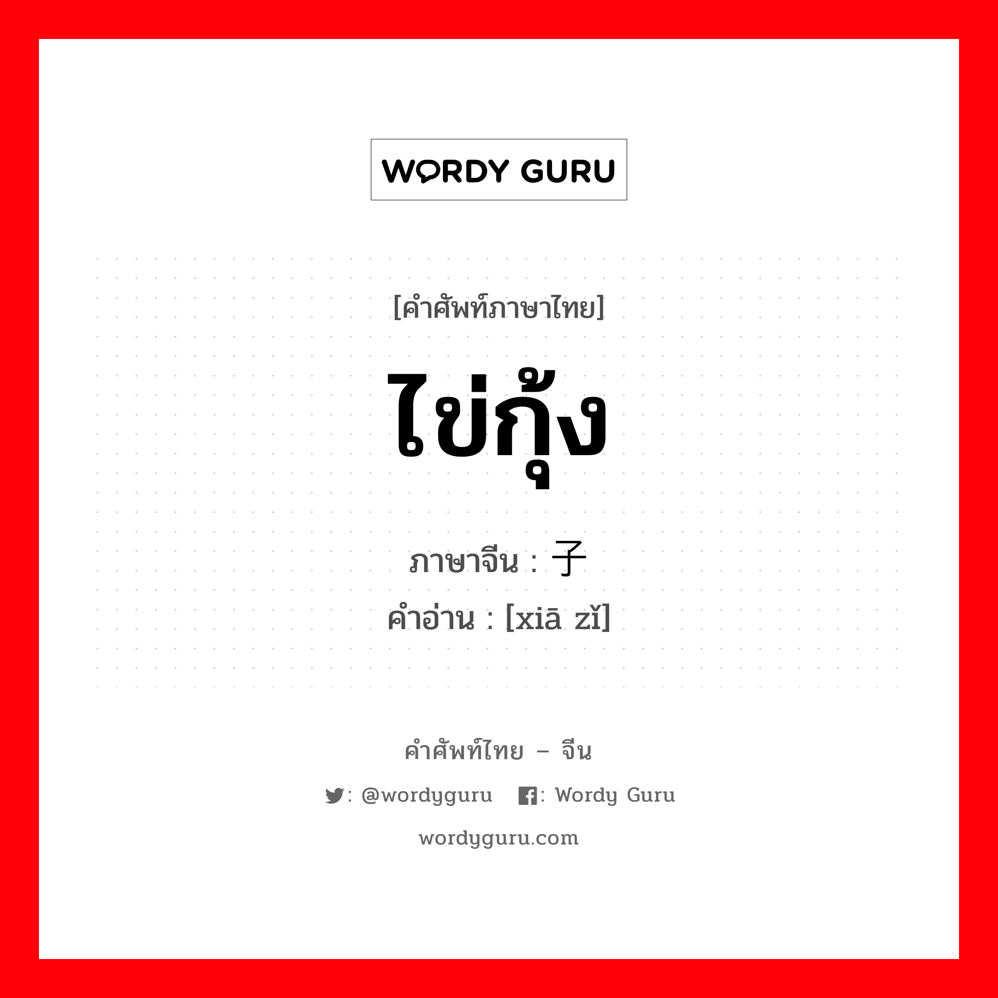 ไข่กุ้ง ภาษาจีนคืออะไร, คำศัพท์ภาษาไทย - จีน ไข่กุ้ง ภาษาจีน 虾子 คำอ่าน [xiā zǐ]