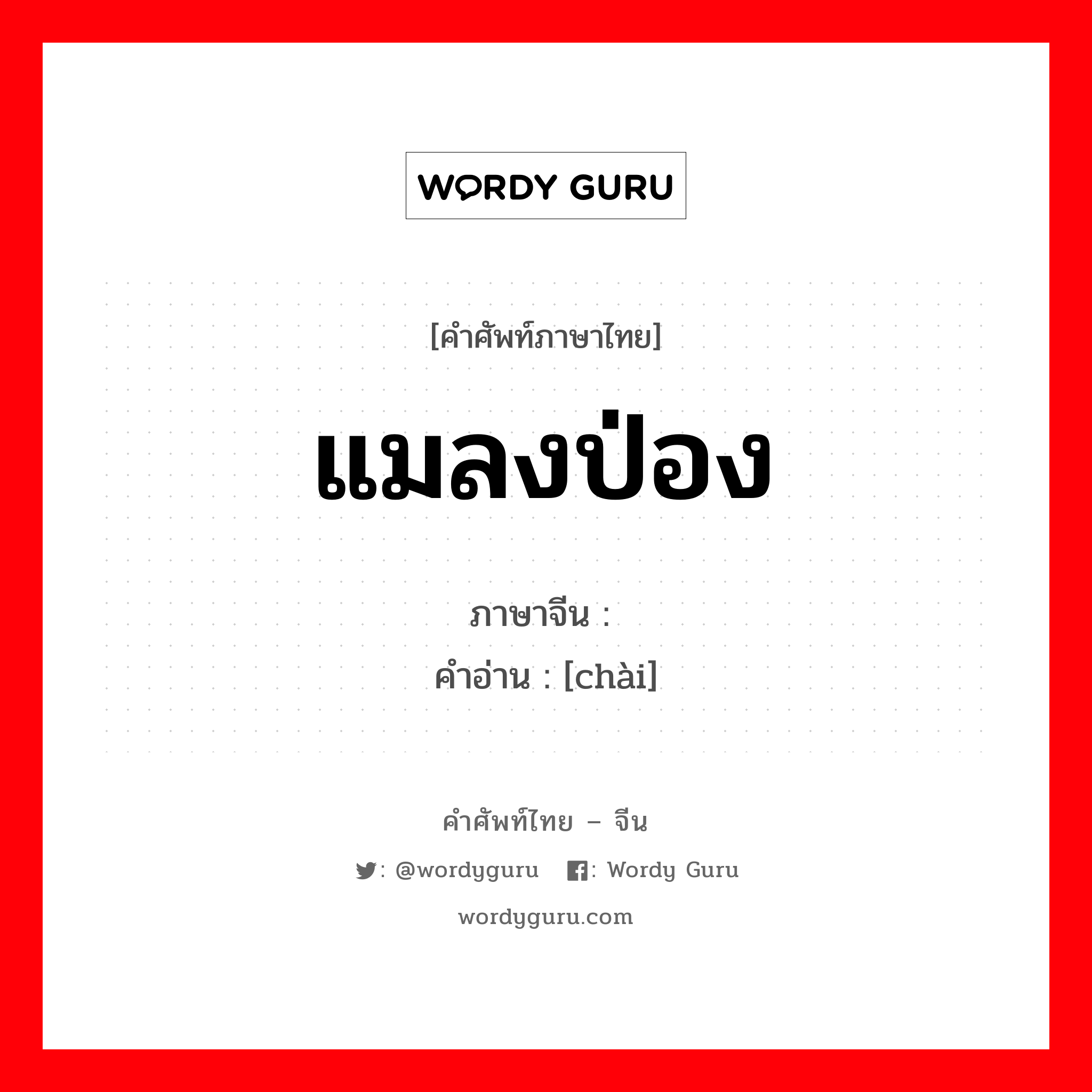 แมลงป่อง ภาษาจีนคืออะไร, คำศัพท์ภาษาไทย - จีน แมลงป่อง ภาษาจีน 虿 คำอ่าน [chài]