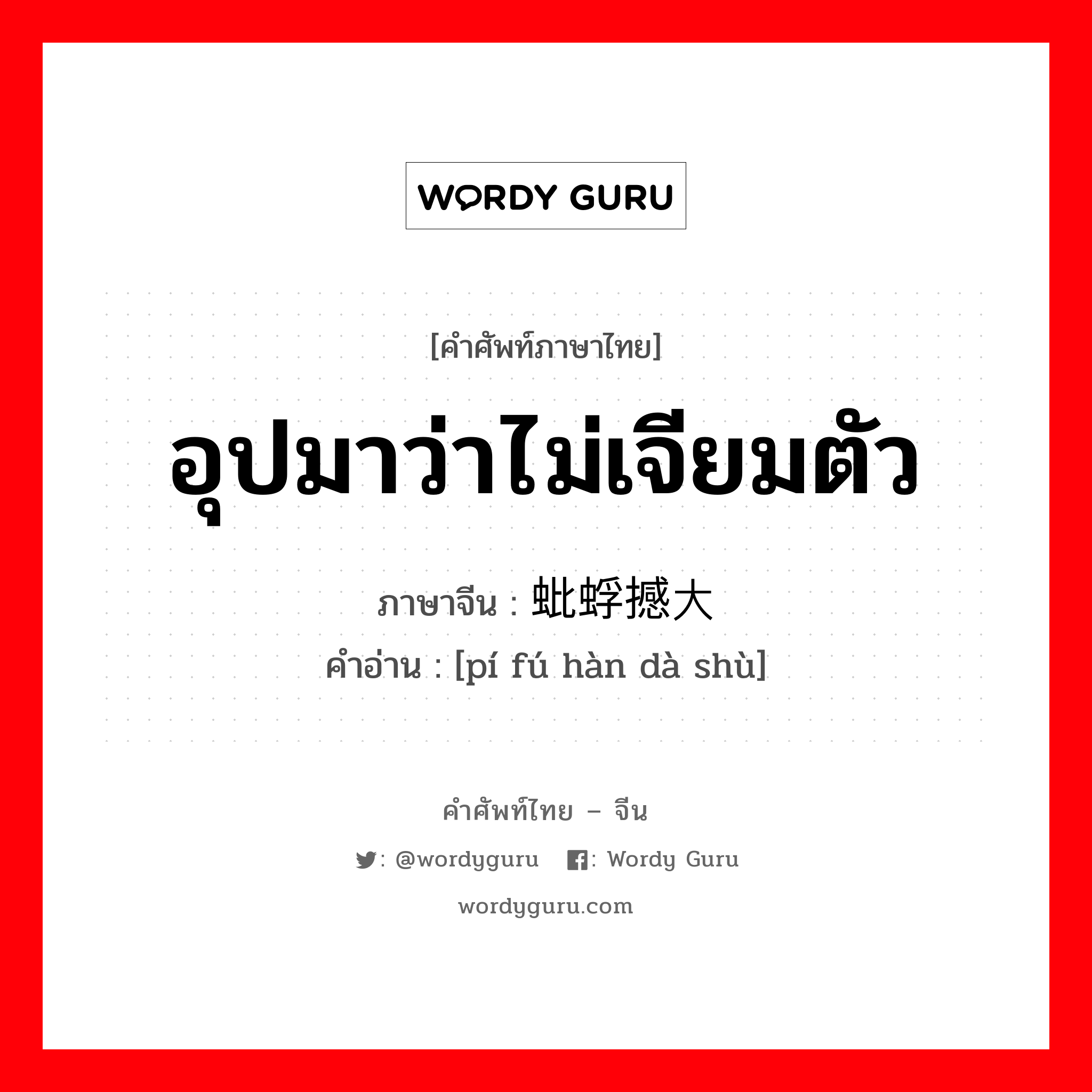 อุปมาว่าไม่เจียมตัว ภาษาจีนคืออะไร, คำศัพท์ภาษาไทย - จีน อุปมาว่าไม่เจียมตัว ภาษาจีน 蚍蜉撼大树 คำอ่าน [pí fú hàn dà shù]