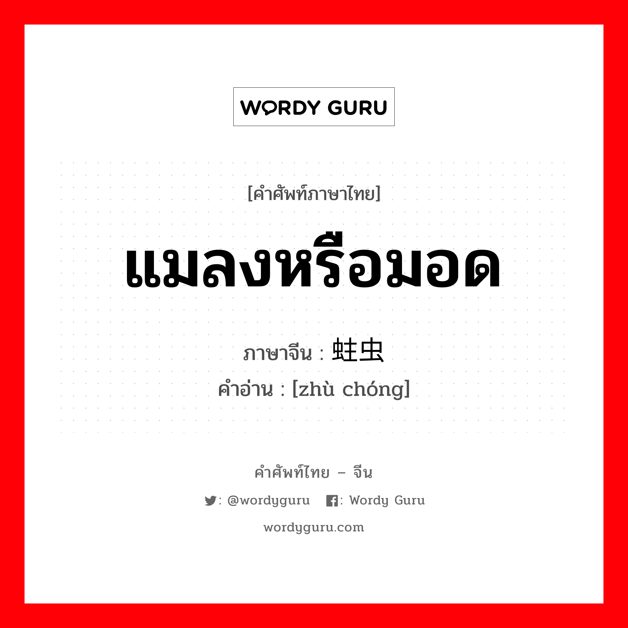 แมลงหรือมอด ภาษาจีนคืออะไร, คำศัพท์ภาษาไทย - จีน แมลงหรือมอด ภาษาจีน 蛀虫 คำอ่าน [zhù chóng]