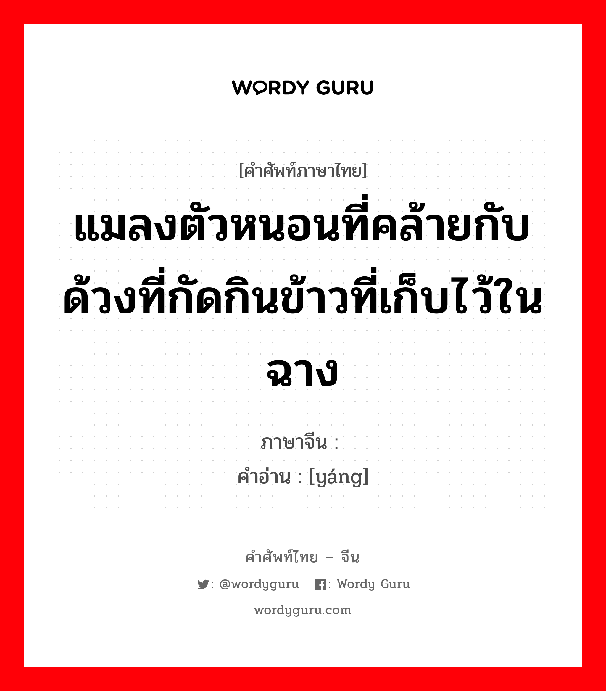 แมลงตัวหนอนที่คล้ายกับด้วงที่กัดกินข้าวที่เก็บไว้ในฉาง ภาษาจีนคืออะไร, คำศัพท์ภาษาไทย - จีน แมลงตัวหนอนที่คล้ายกับด้วงที่กัดกินข้าวที่เก็บไว้ในฉาง ภาษาจีน 蛘 คำอ่าน [yáng]