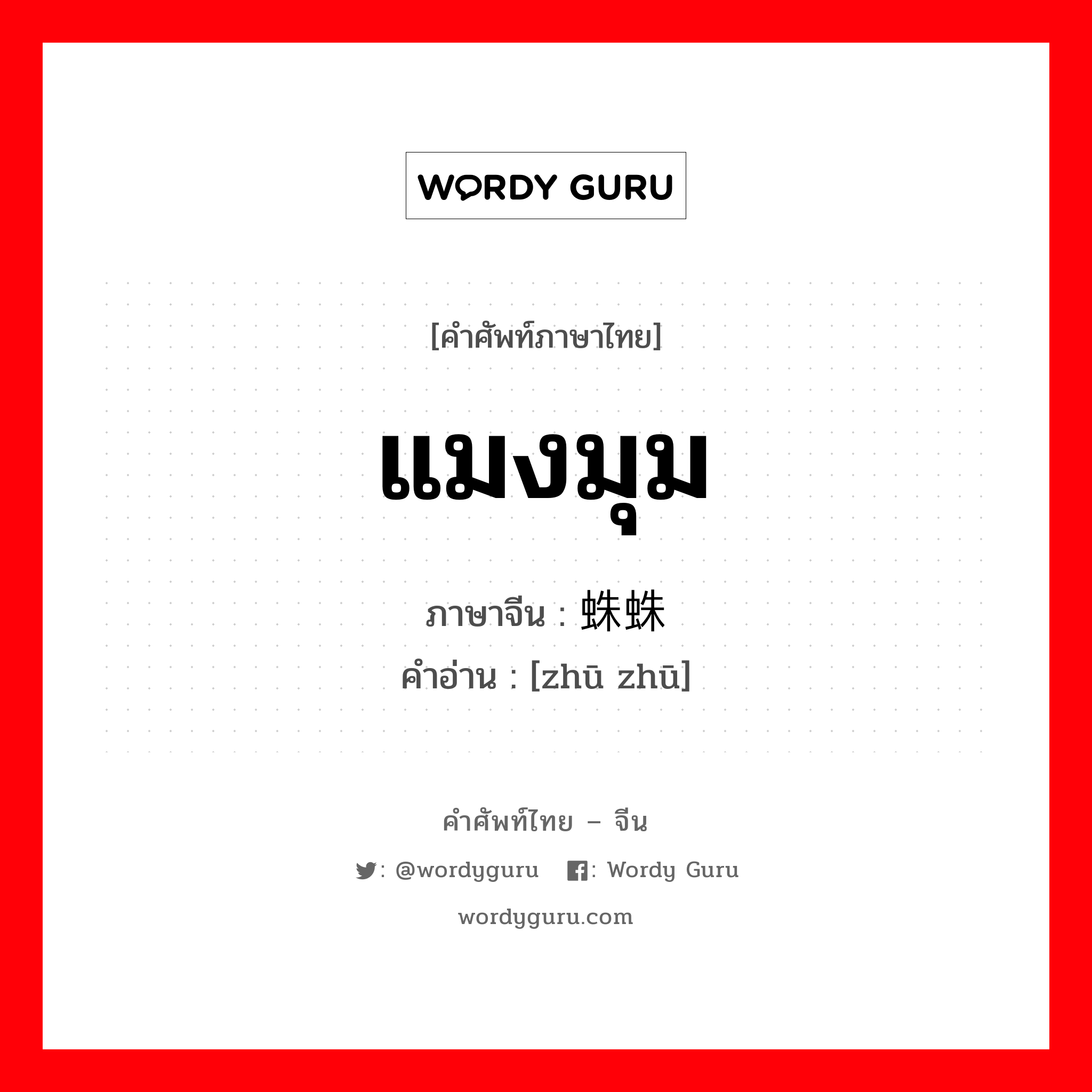 蛛蛛 ภาษาไทย?, คำศัพท์ภาษาไทย - จีน 蛛蛛 ภาษาจีน แมงมุม คำอ่าน [zhū zhū]