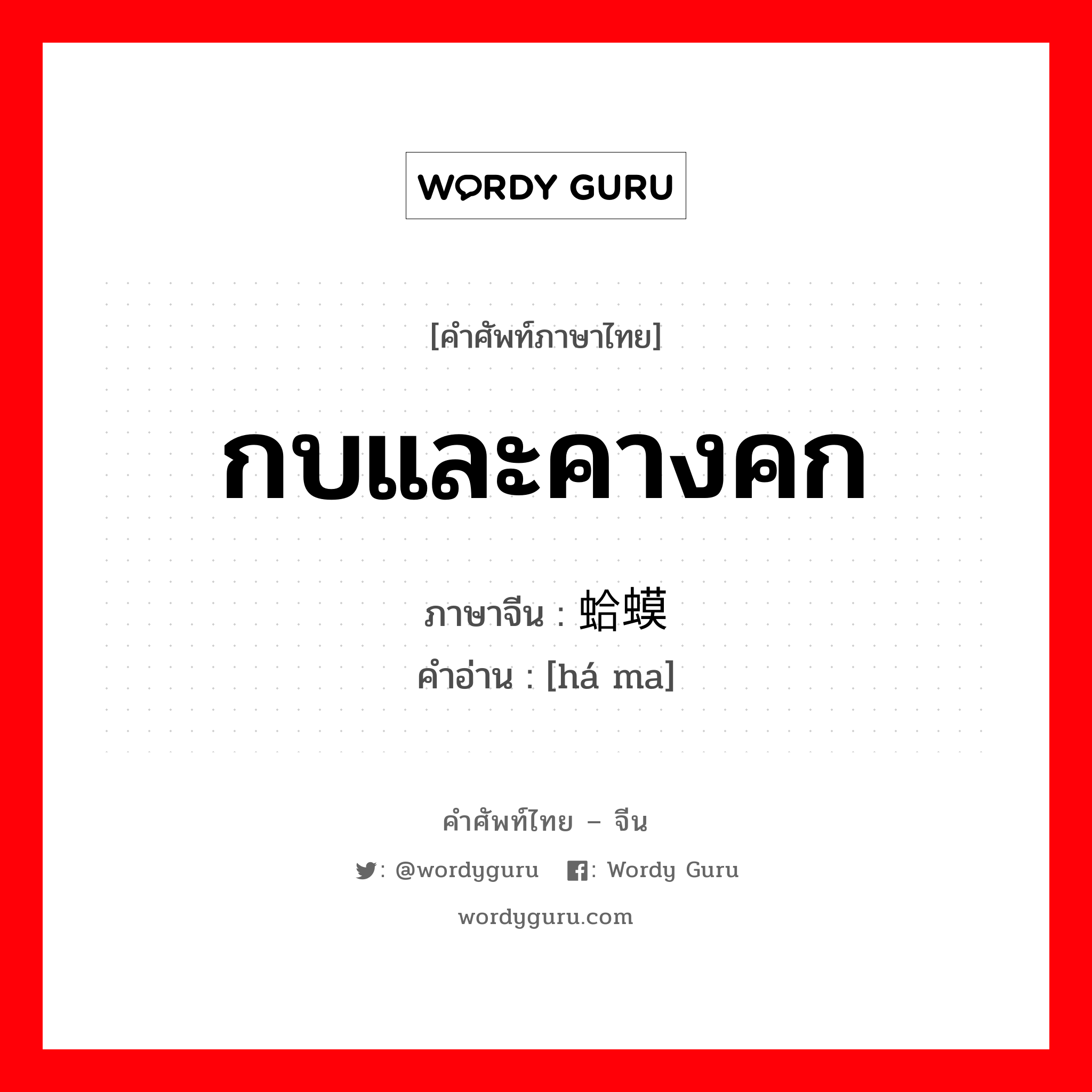 กบและคางคก ภาษาจีนคืออะไร, คำศัพท์ภาษาไทย - จีน กบและคางคก ภาษาจีน 蛤蟆 คำอ่าน [há ma]