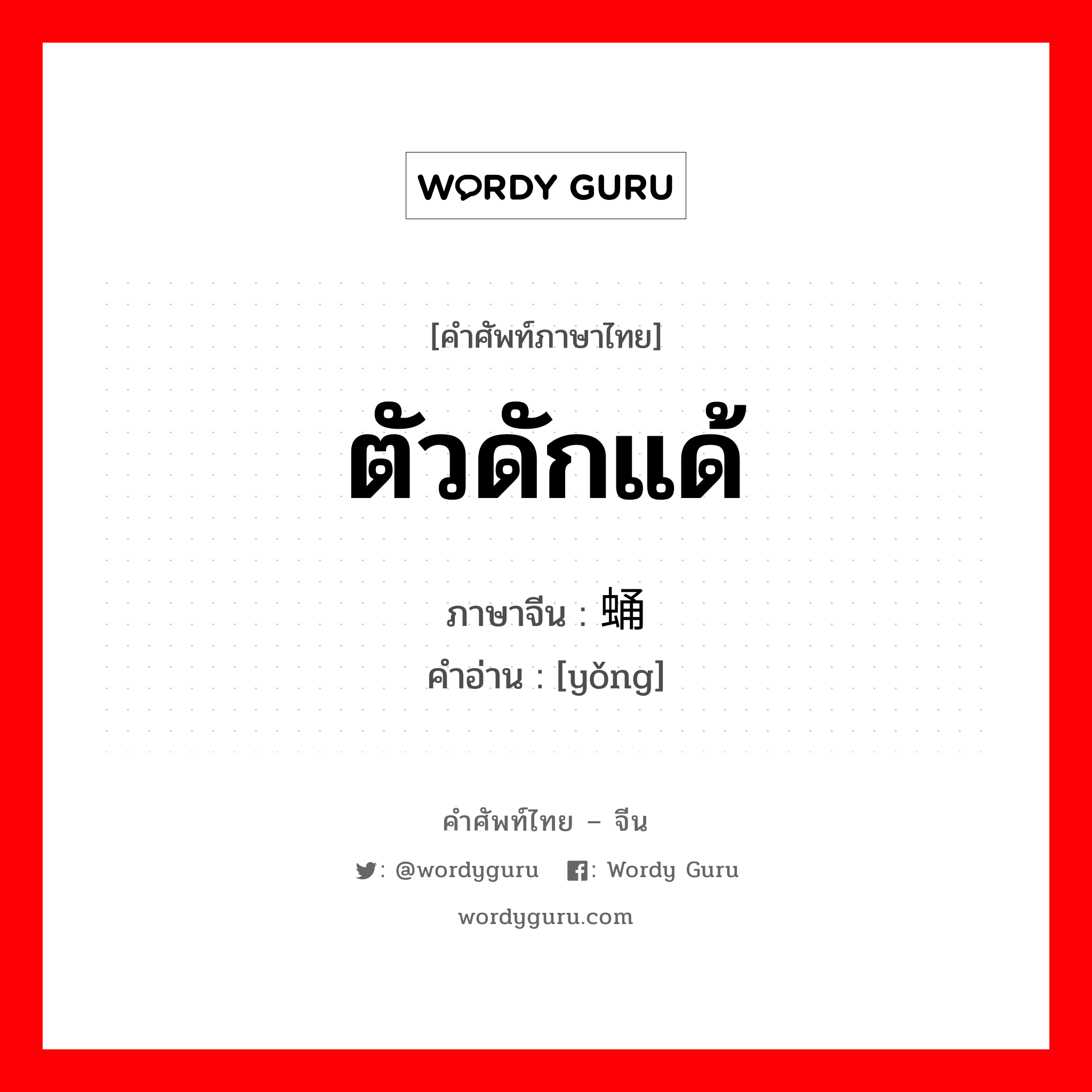 ตัวดักแด้ ภาษาจีนคืออะไร, คำศัพท์ภาษาไทย - จีน ตัวดักแด้ ภาษาจีน 蛹 คำอ่าน [yǒng]