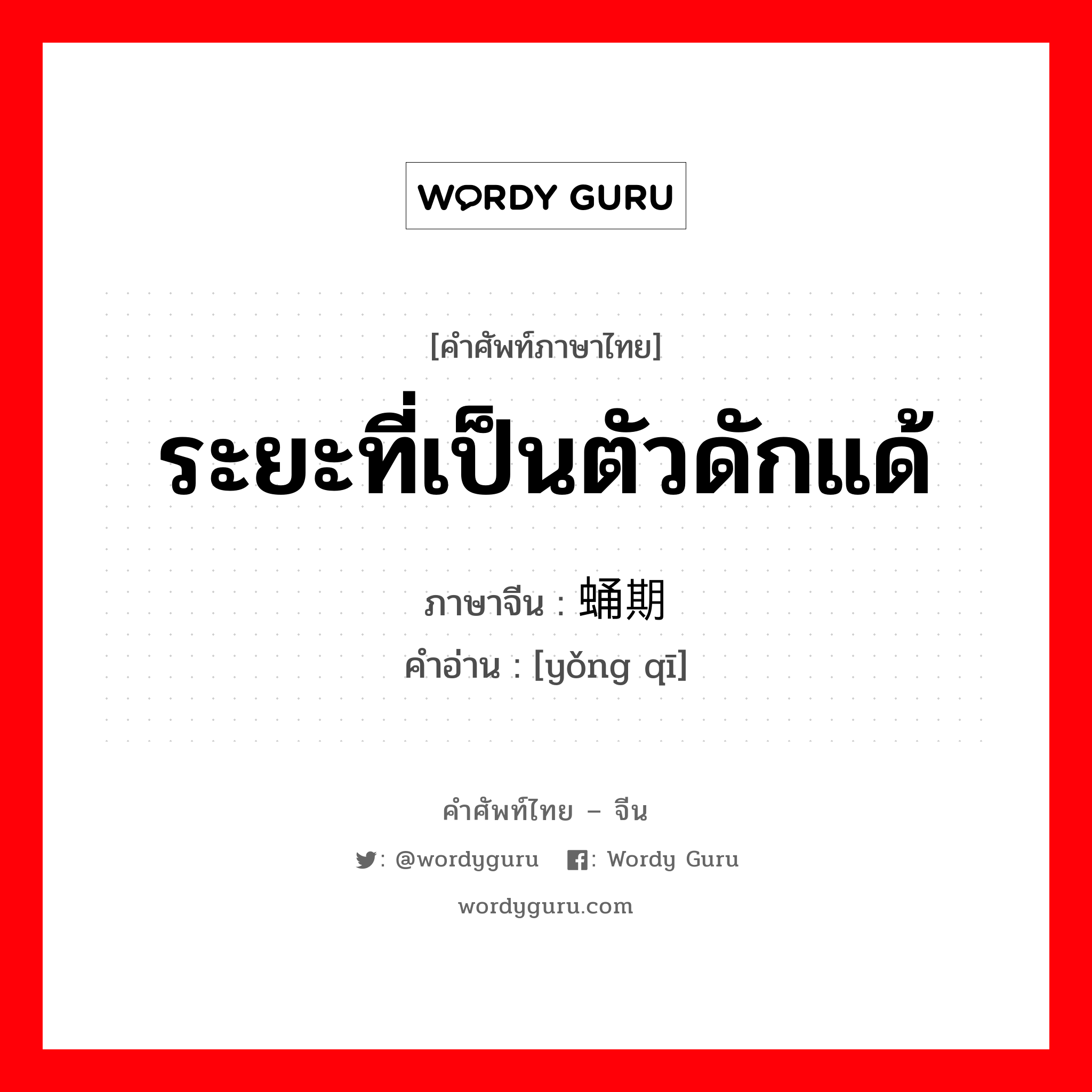 ระยะที่เป็นตัวดักแด้ ภาษาจีนคืออะไร, คำศัพท์ภาษาไทย - จีน ระยะที่เป็นตัวดักแด้ ภาษาจีน 蛹期 คำอ่าน [yǒng qī]