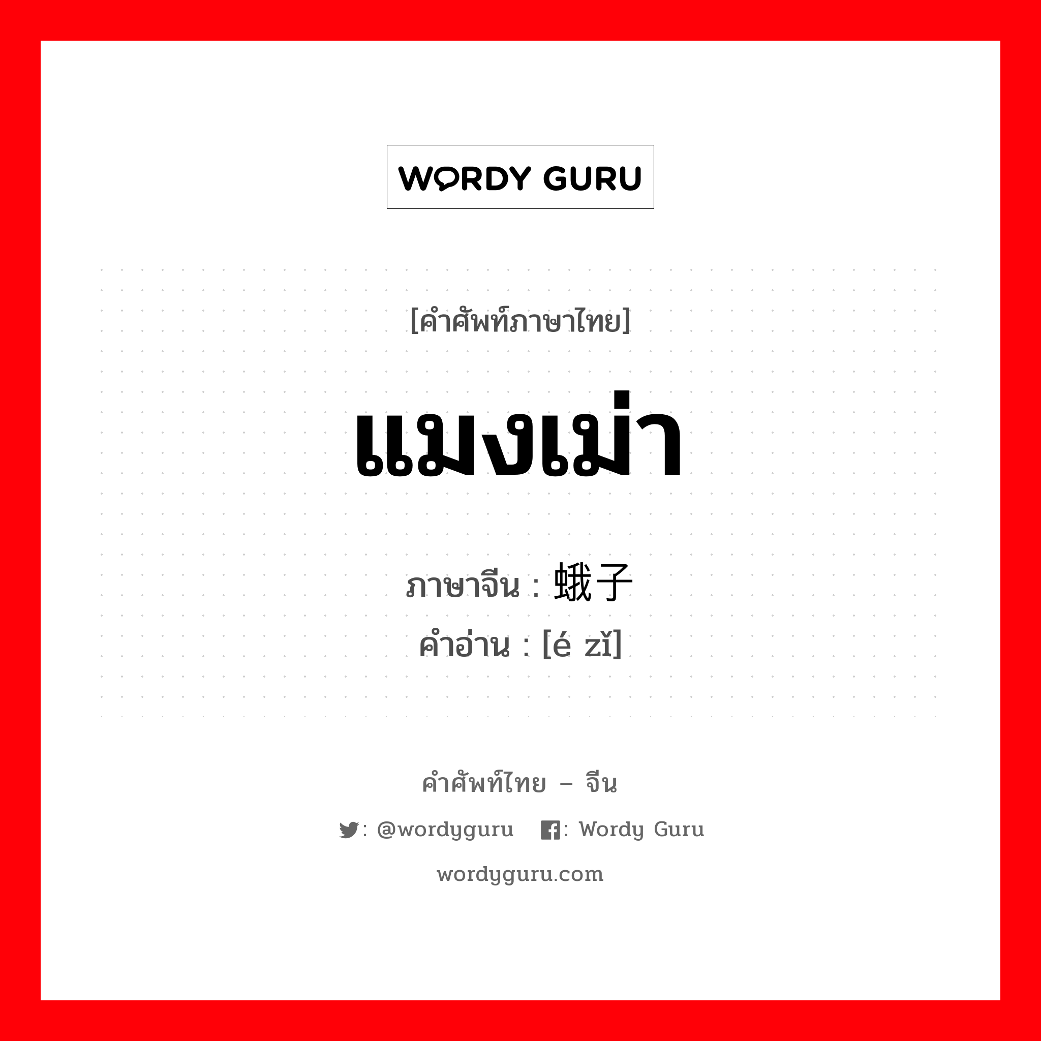 แมงเม่า ภาษาจีนคืออะไร, คำศัพท์ภาษาไทย - จีน แมงเม่า ภาษาจีน 蛾子 คำอ่าน [é zǐ]