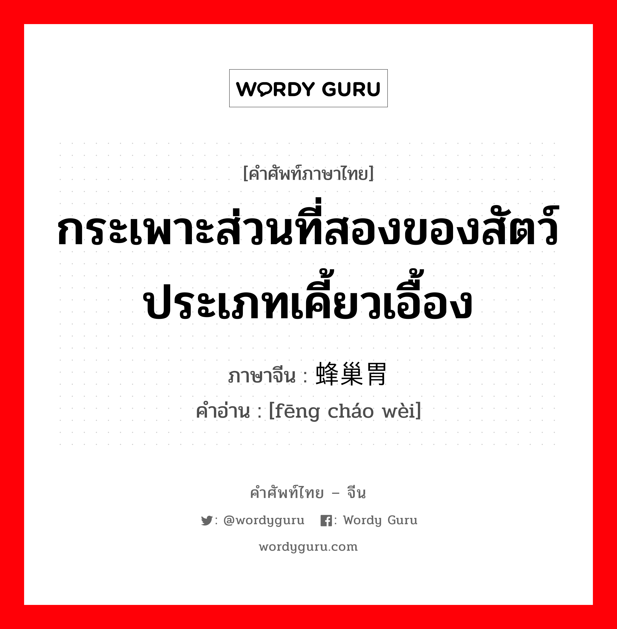 กระเพาะส่วนที่สองของสัตว์ประเภทเคี้ยวเอื้อง ภาษาจีนคืออะไร, คำศัพท์ภาษาไทย - จีน กระเพาะส่วนที่สองของสัตว์ประเภทเคี้ยวเอื้อง ภาษาจีน 蜂巢胃 คำอ่าน [fēng cháo wèi]