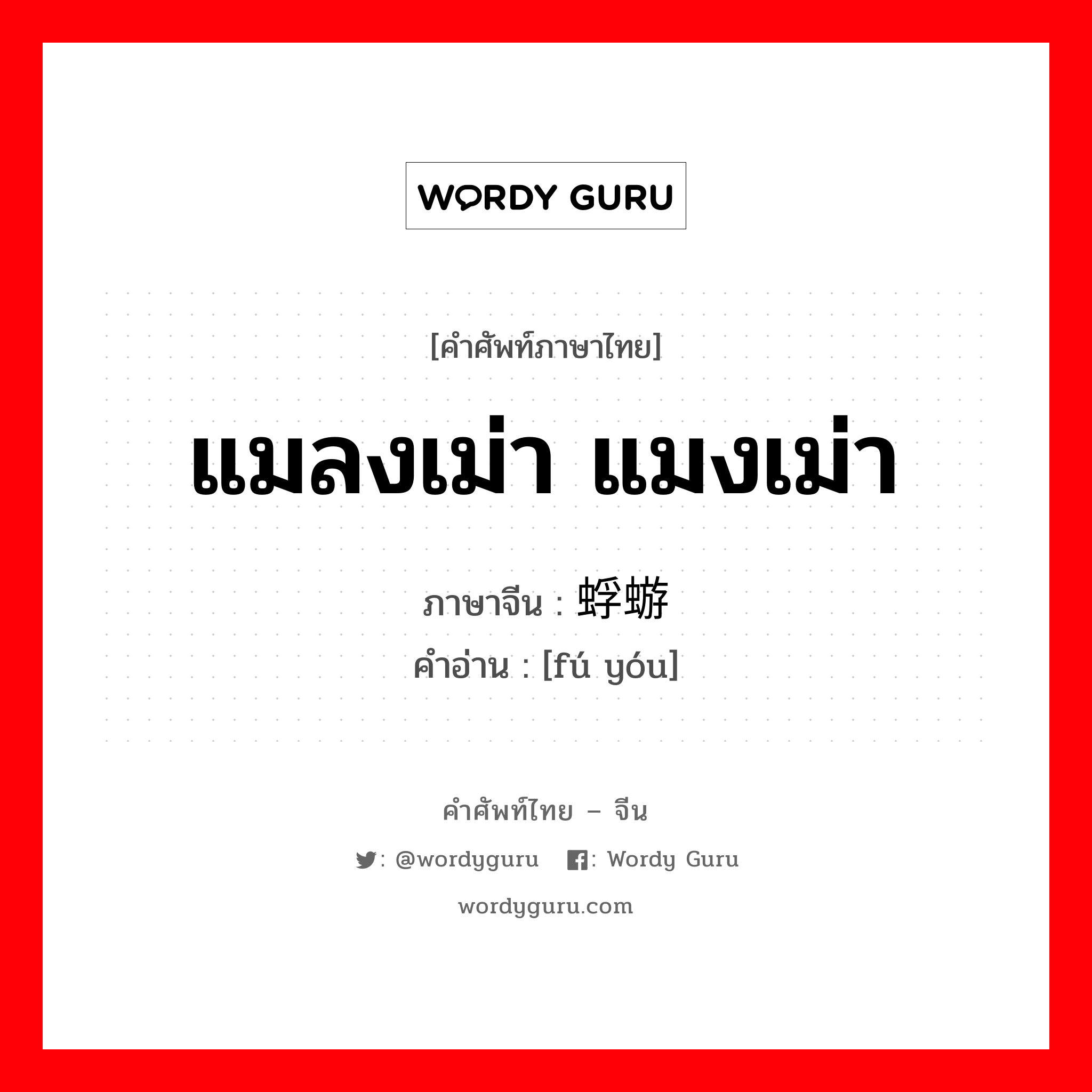 แมลงเม่า แมงเม่า ภาษาจีนคืออะไร, คำศัพท์ภาษาไทย - จีน แมลงเม่า แมงเม่า ภาษาจีน 蜉蝣 คำอ่าน [fú yóu]