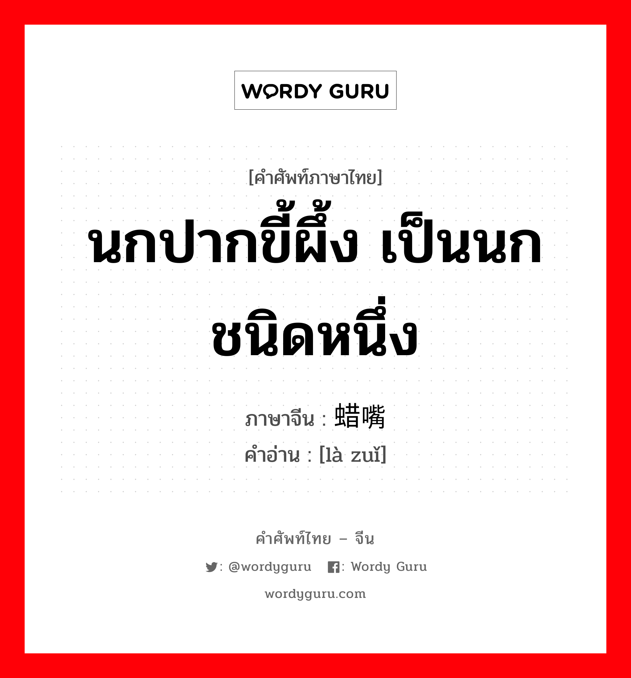 นกปากขี้ผึ้ง เป็นนกชนิดหนึ่ง ภาษาจีนคืออะไร, คำศัพท์ภาษาไทย - จีน นกปากขี้ผึ้ง เป็นนกชนิดหนึ่ง ภาษาจีน 蜡嘴 คำอ่าน [là zuǐ]