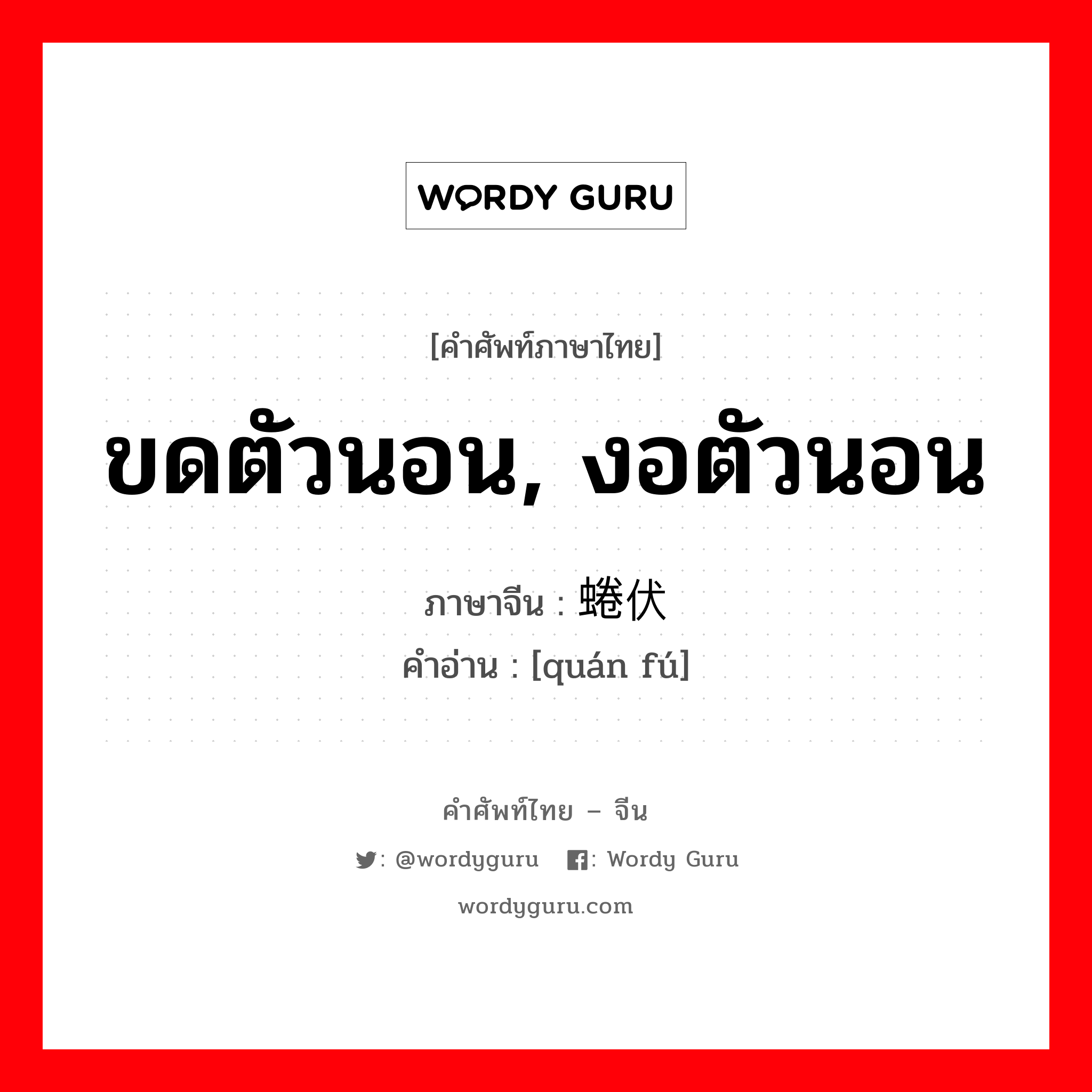 ขดตัวนอน, งอตัวนอน ภาษาจีนคืออะไร, คำศัพท์ภาษาไทย - จีน ขดตัวนอน, งอตัวนอน ภาษาจีน 蜷伏 คำอ่าน [quán fú]