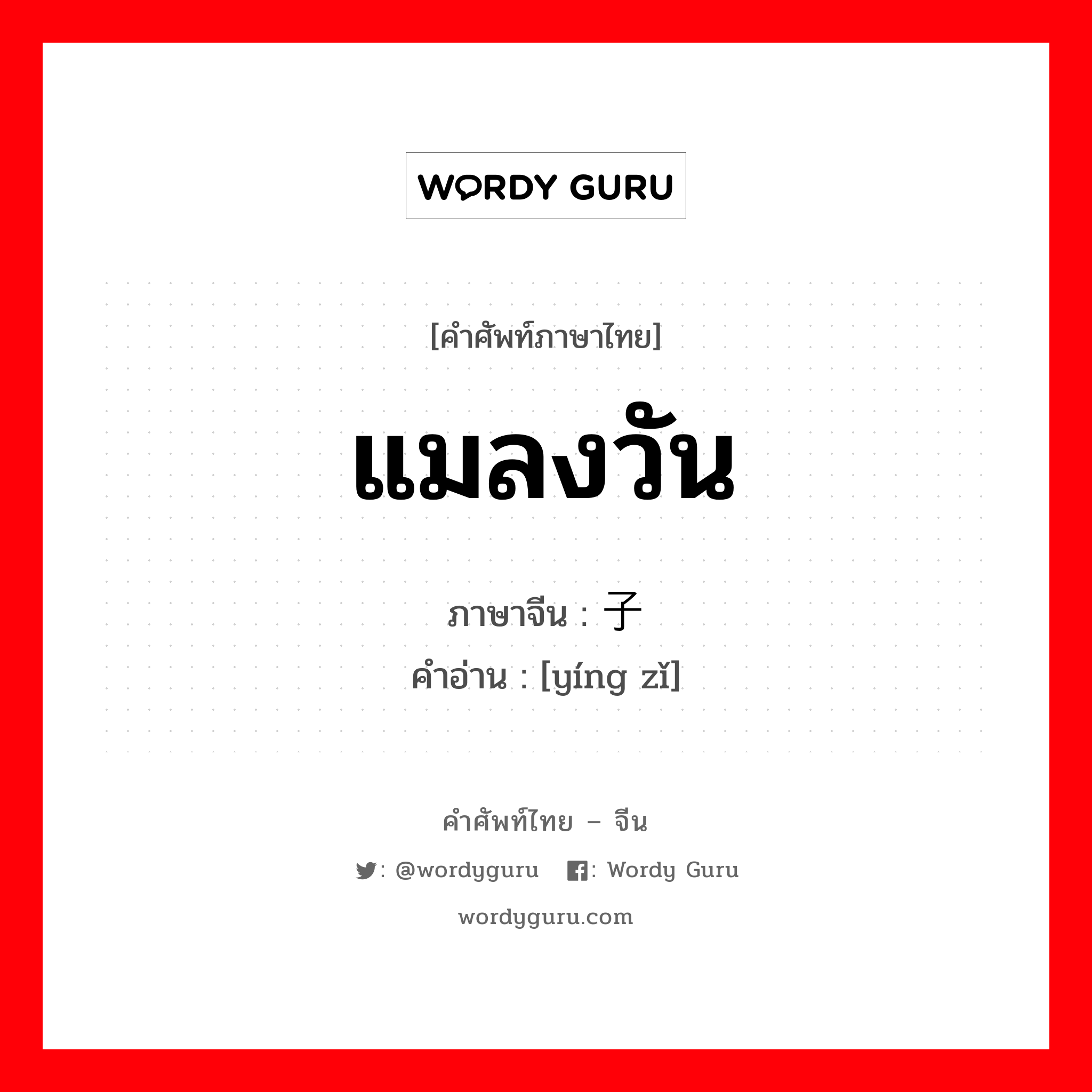 แมลงวัน ภาษาจีนคืออะไร, คำศัพท์ภาษาไทย - จีน แมลงวัน ภาษาจีน 蝇子 คำอ่าน [yíng zǐ]