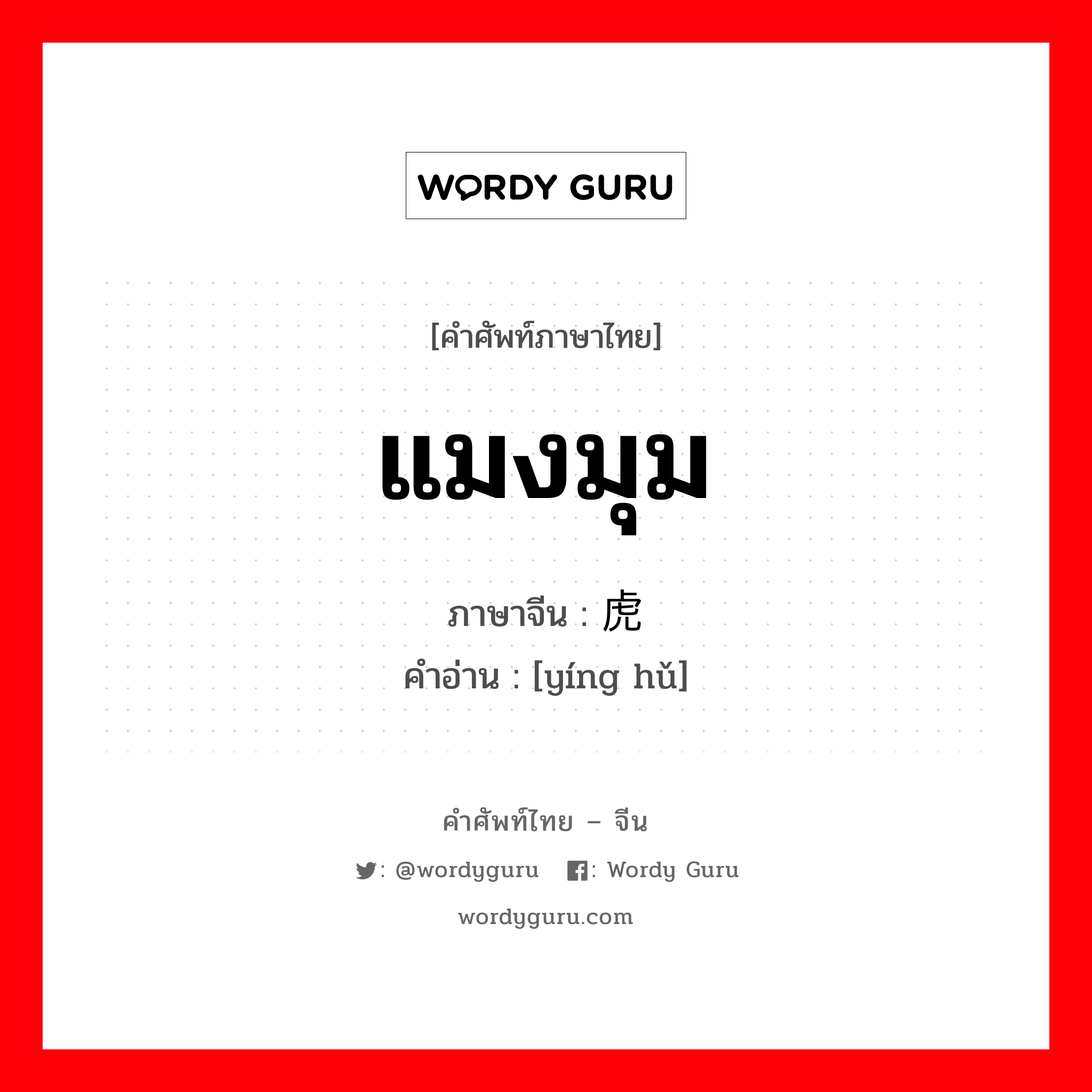 แมงมุม ภาษาจีนคืออะไร, คำศัพท์ภาษาไทย - จีน แมงมุม ภาษาจีน 蝇虎 คำอ่าน [yíng hǔ]