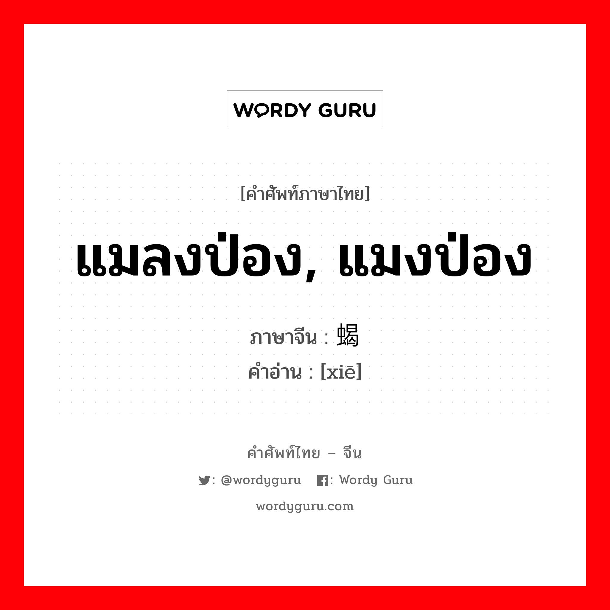 แมลงป่อง, แมงป่อง ภาษาจีนคืออะไร, คำศัพท์ภาษาไทย - จีน แมลงป่อง, แมงป่อง ภาษาจีน 蝎 คำอ่าน [xiē]