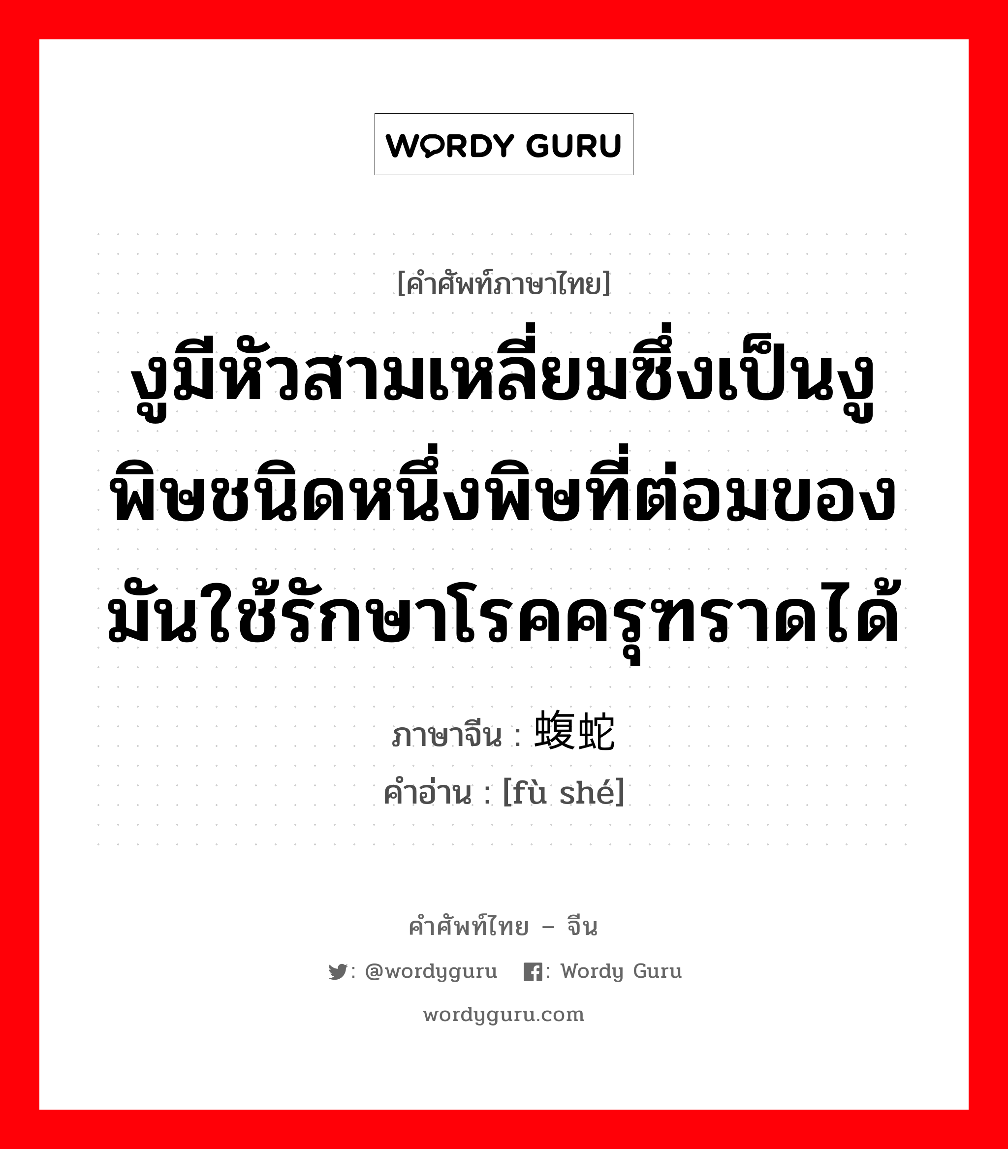 งูมีหัวสามเหลี่ยมซึ่งเป็นงูพิษชนิดหนึ่งพิษที่ต่อมของมันใช้รักษาโรคครุฑราดได้ ภาษาจีนคืออะไร, คำศัพท์ภาษาไทย - จีน งูมีหัวสามเหลี่ยมซึ่งเป็นงูพิษชนิดหนึ่งพิษที่ต่อมของมันใช้รักษาโรคครุฑราดได้ ภาษาจีน 蝮蛇 คำอ่าน [fù shé]