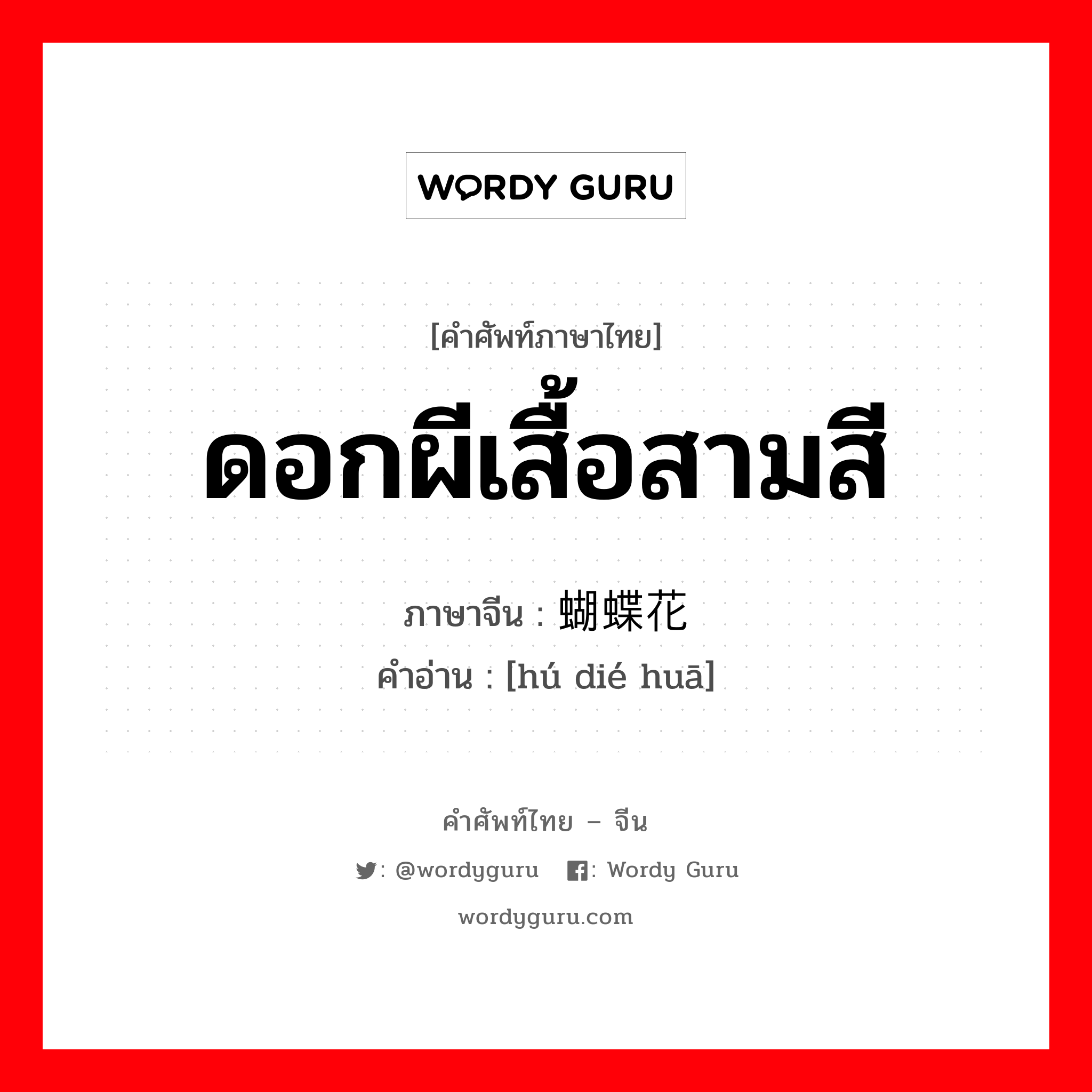 ดอกผีเสื้อสามสี ภาษาจีนคืออะไร, คำศัพท์ภาษาไทย - จีน ดอกผีเสื้อสามสี ภาษาจีน 蝴蝶花 คำอ่าน [hú dié huā]