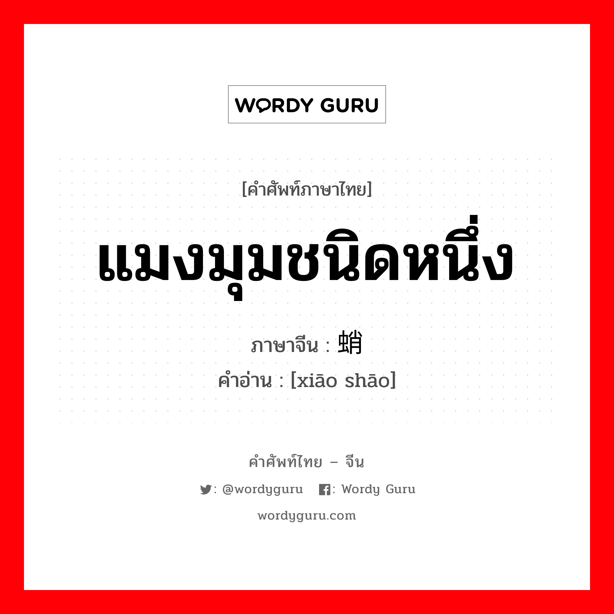 แมงมุมชนิดหนึ่ง ภาษาจีนคืออะไร, คำศัพท์ภาษาไทย - จีน แมงมุมชนิดหนึ่ง ภาษาจีน 蟏蛸 คำอ่าน [xiāo shāo]