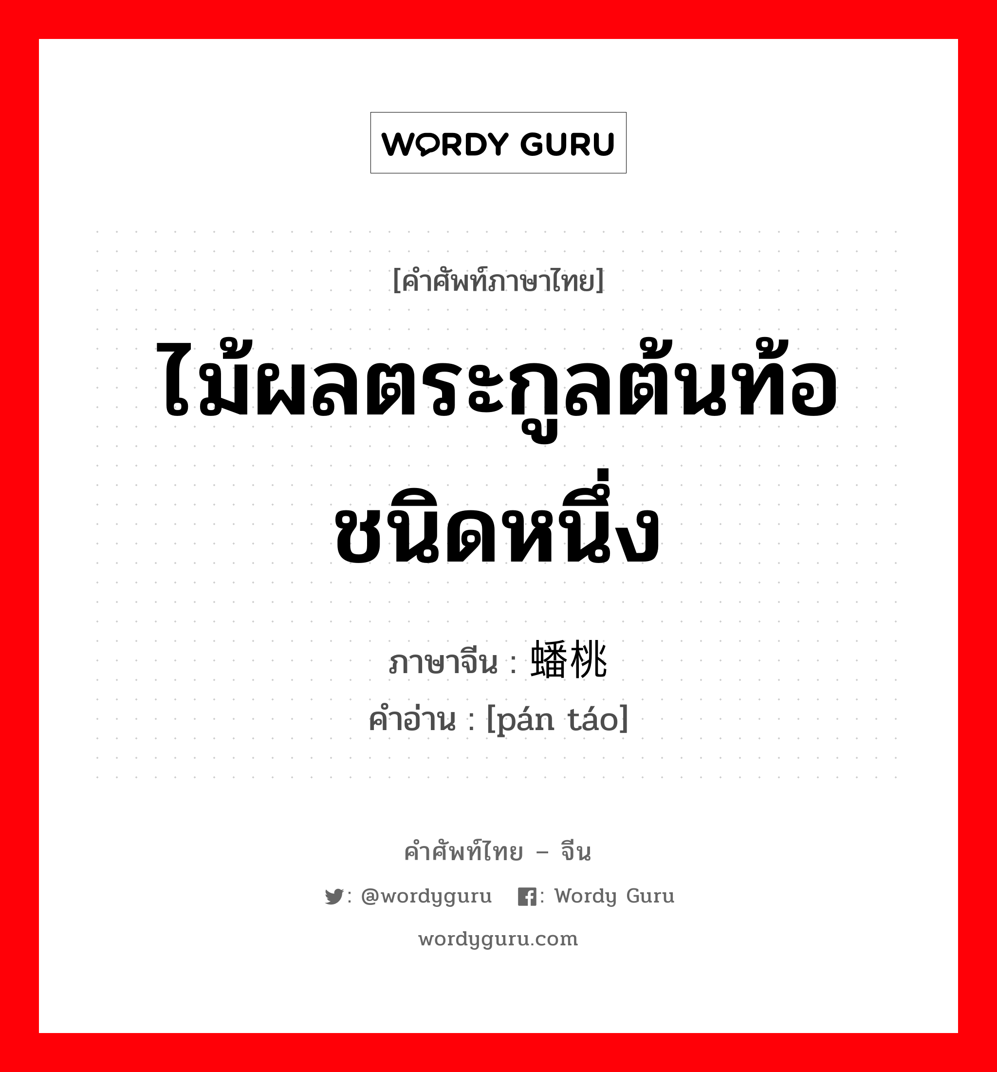 ไม้ผลตระกูลต้นท้อชนิดหนึ่ง ภาษาจีนคืออะไร, คำศัพท์ภาษาไทย - จีน ไม้ผลตระกูลต้นท้อชนิดหนึ่ง ภาษาจีน 蟠桃 คำอ่าน [pán táo]