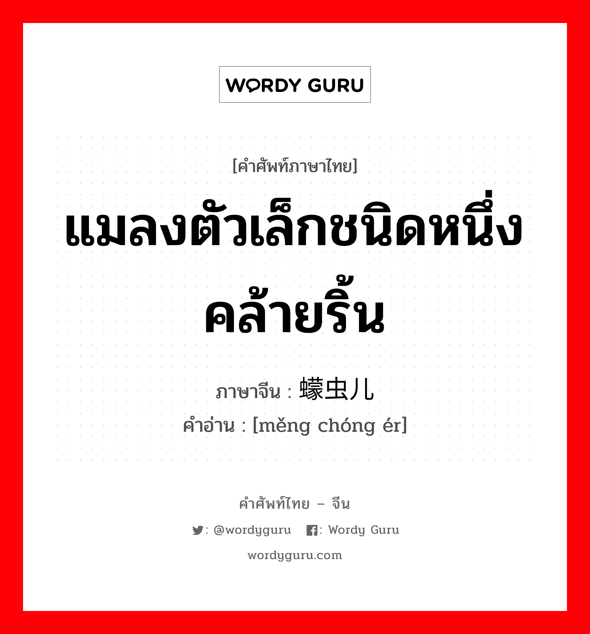 แมลงตัวเล็กชนิดหนึ่ง คล้ายริ้น ภาษาจีนคืออะไร, คำศัพท์ภาษาไทย - จีน แมลงตัวเล็กชนิดหนึ่ง คล้ายริ้น ภาษาจีน 蠓虫儿 คำอ่าน [měng chóng ér]