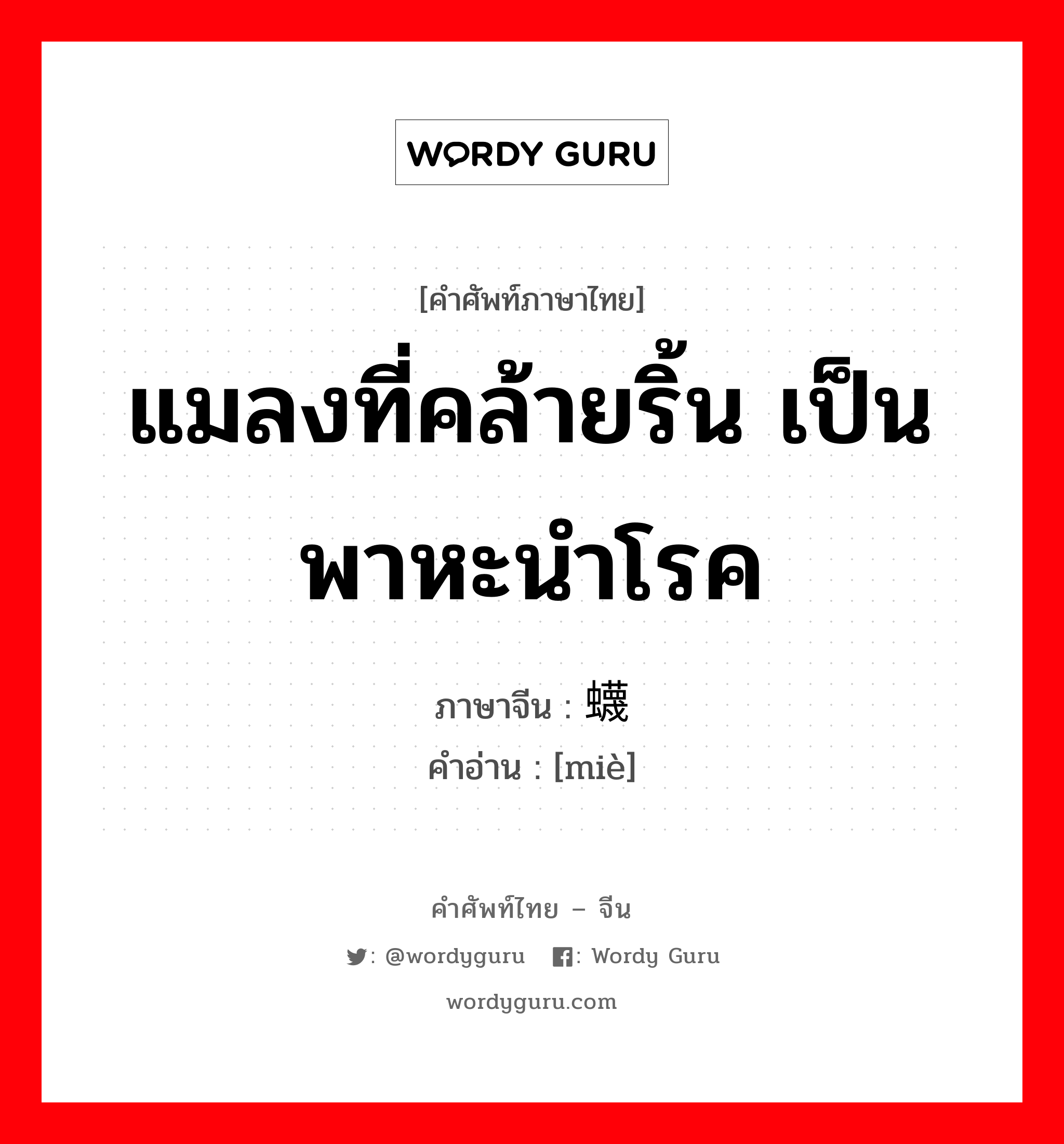 แมลงที่คล้ายริ้น เป็นพาหะนำโรค ภาษาจีนคืออะไร, คำศัพท์ภาษาไทย - จีน แมลงที่คล้ายริ้น เป็นพาหะนำโรค ภาษาจีน 蠛 คำอ่าน [miè]