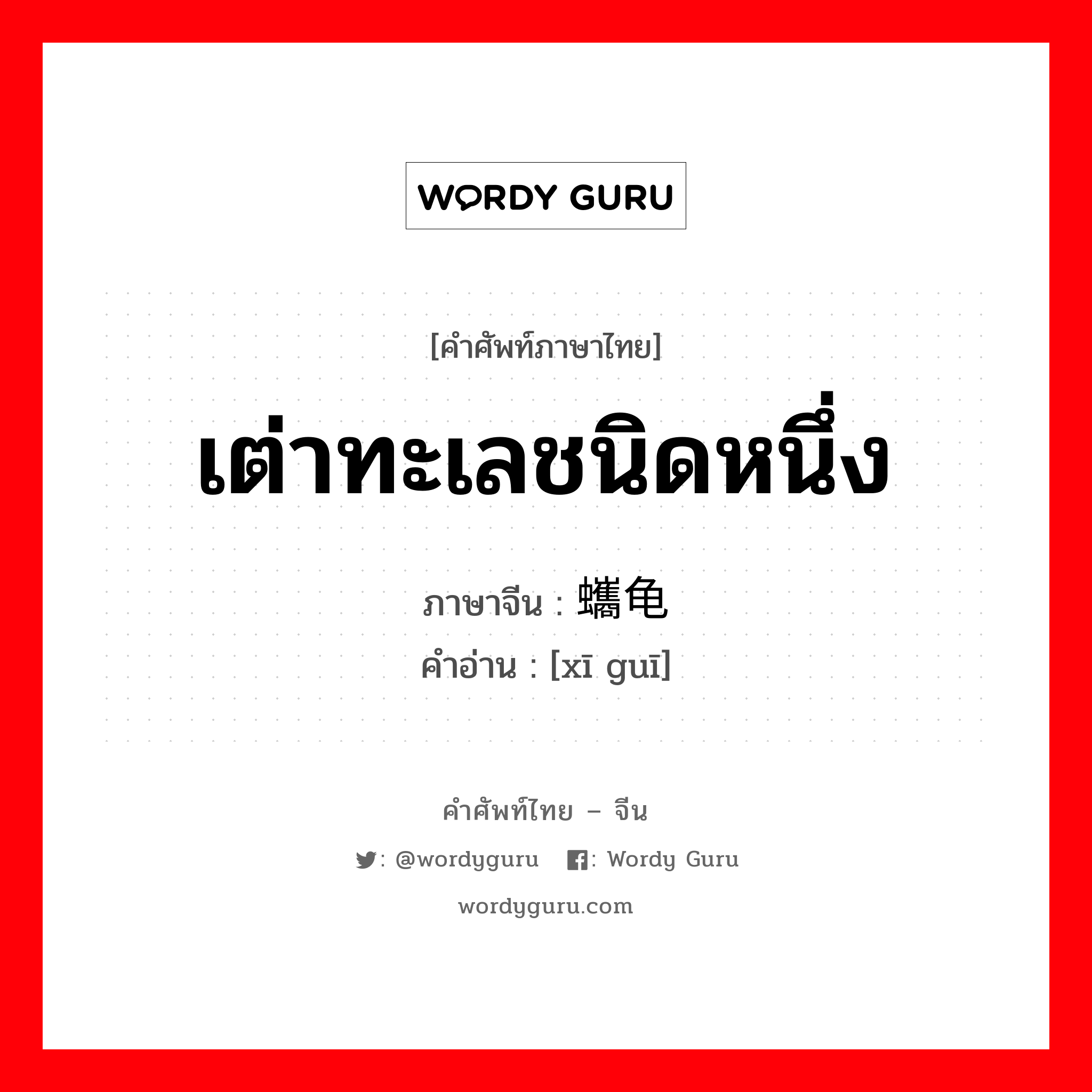 เต่าทะเลชนิดหนึ่ง ภาษาจีนคืออะไร, คำศัพท์ภาษาไทย - จีน เต่าทะเลชนิดหนึ่ง ภาษาจีน 蠵龟 คำอ่าน [xī guī]