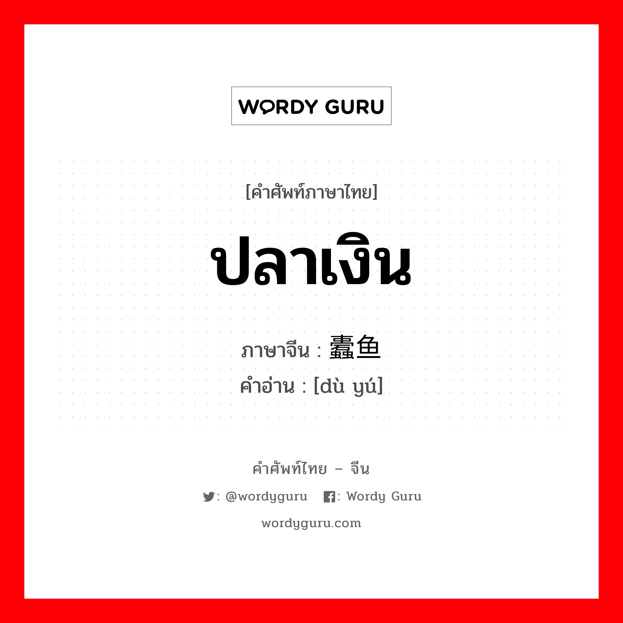 ปลาเงิน ภาษาจีนคืออะไร, คำศัพท์ภาษาไทย - จีน ปลาเงิน ภาษาจีน 蠹鱼 คำอ่าน [dù yú]