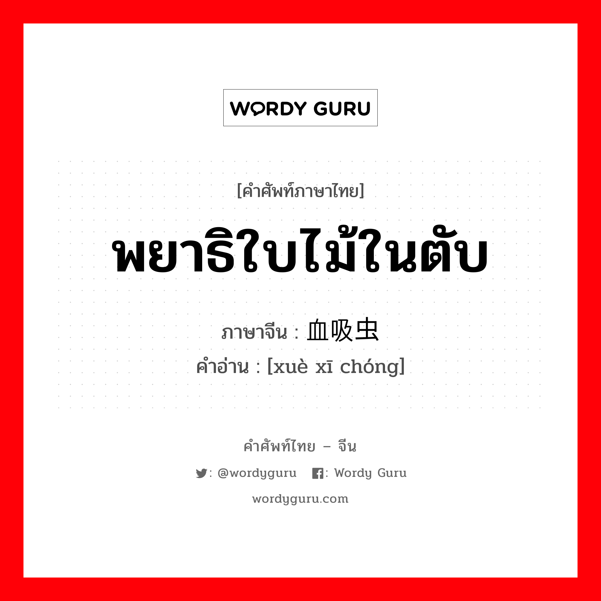 พยาธิใบไม้ในตับ ภาษาจีนคืออะไร, คำศัพท์ภาษาไทย - จีน พยาธิใบไม้ในตับ ภาษาจีน 血吸虫 คำอ่าน [xuè xī chóng]