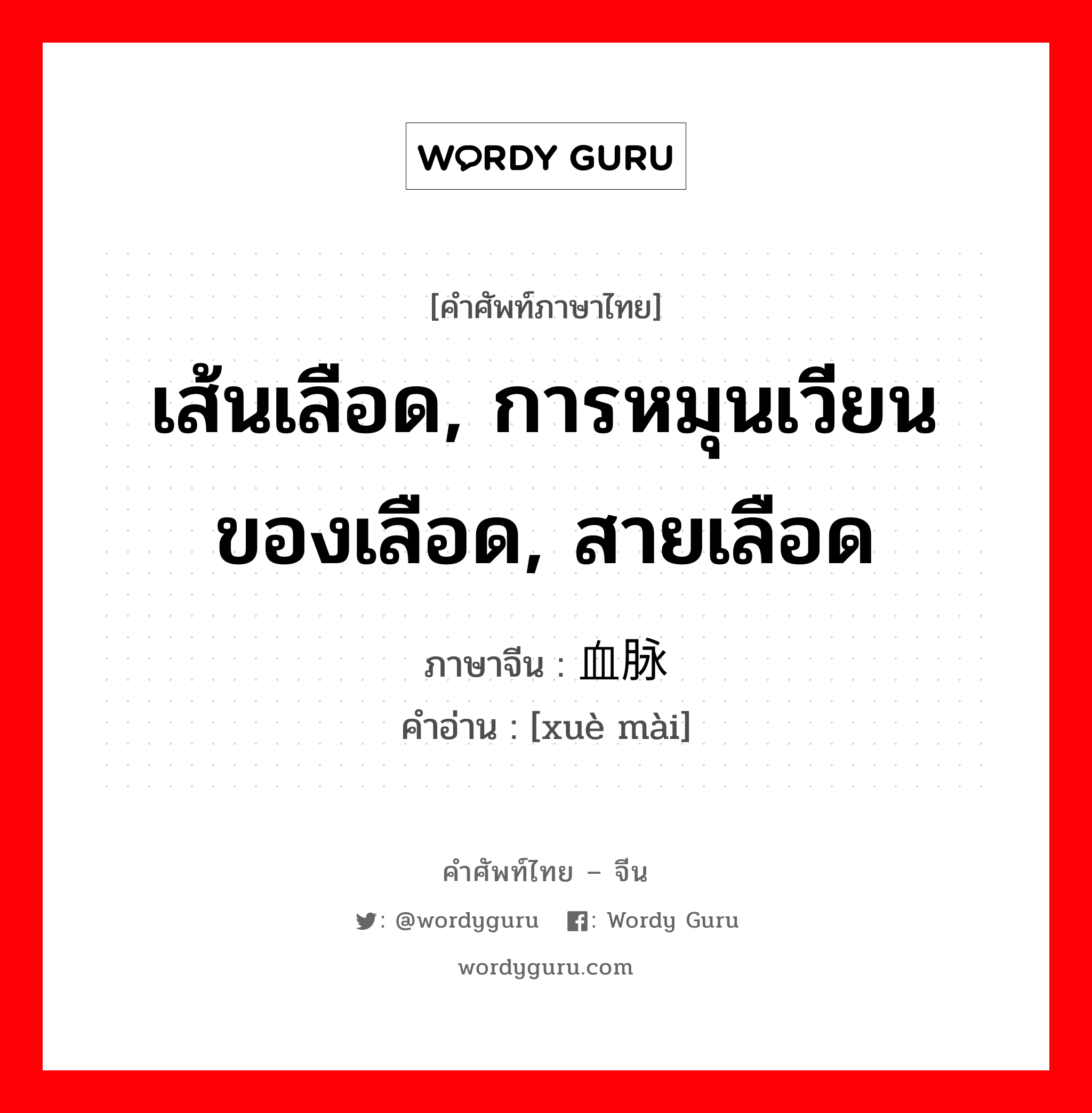 เส้นเลือด, การหมุนเวียนของเลือด, สายเลือด ภาษาจีนคืออะไร, คำศัพท์ภาษาไทย - จีน เส้นเลือด, การหมุนเวียนของเลือด, สายเลือด ภาษาจีน 血脉 คำอ่าน [xuè mài]