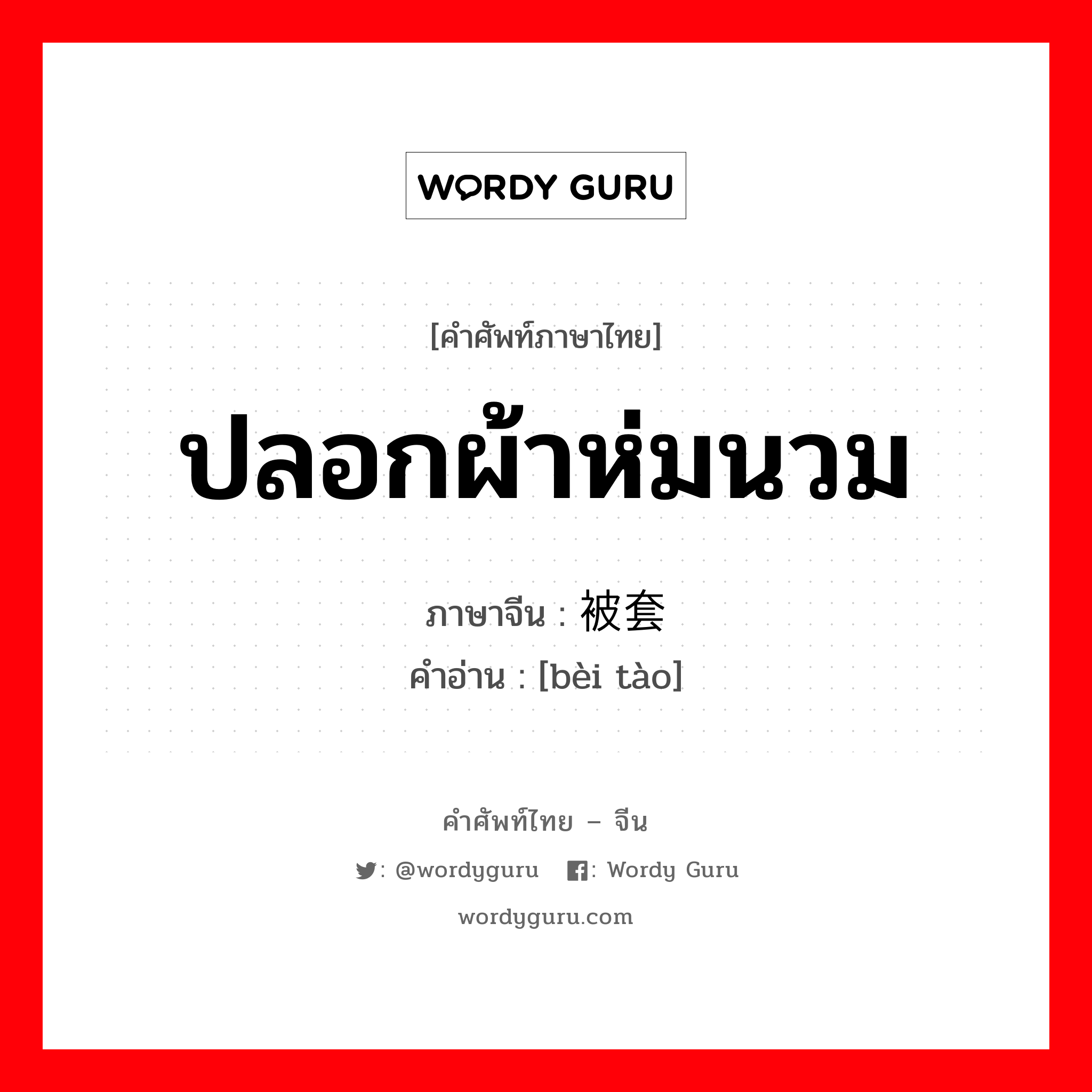 ปลอกผ้าห่มนวม ภาษาจีนคืออะไร, คำศัพท์ภาษาไทย - จีน ปลอกผ้าห่มนวม ภาษาจีน 被套 คำอ่าน [bèi tào]