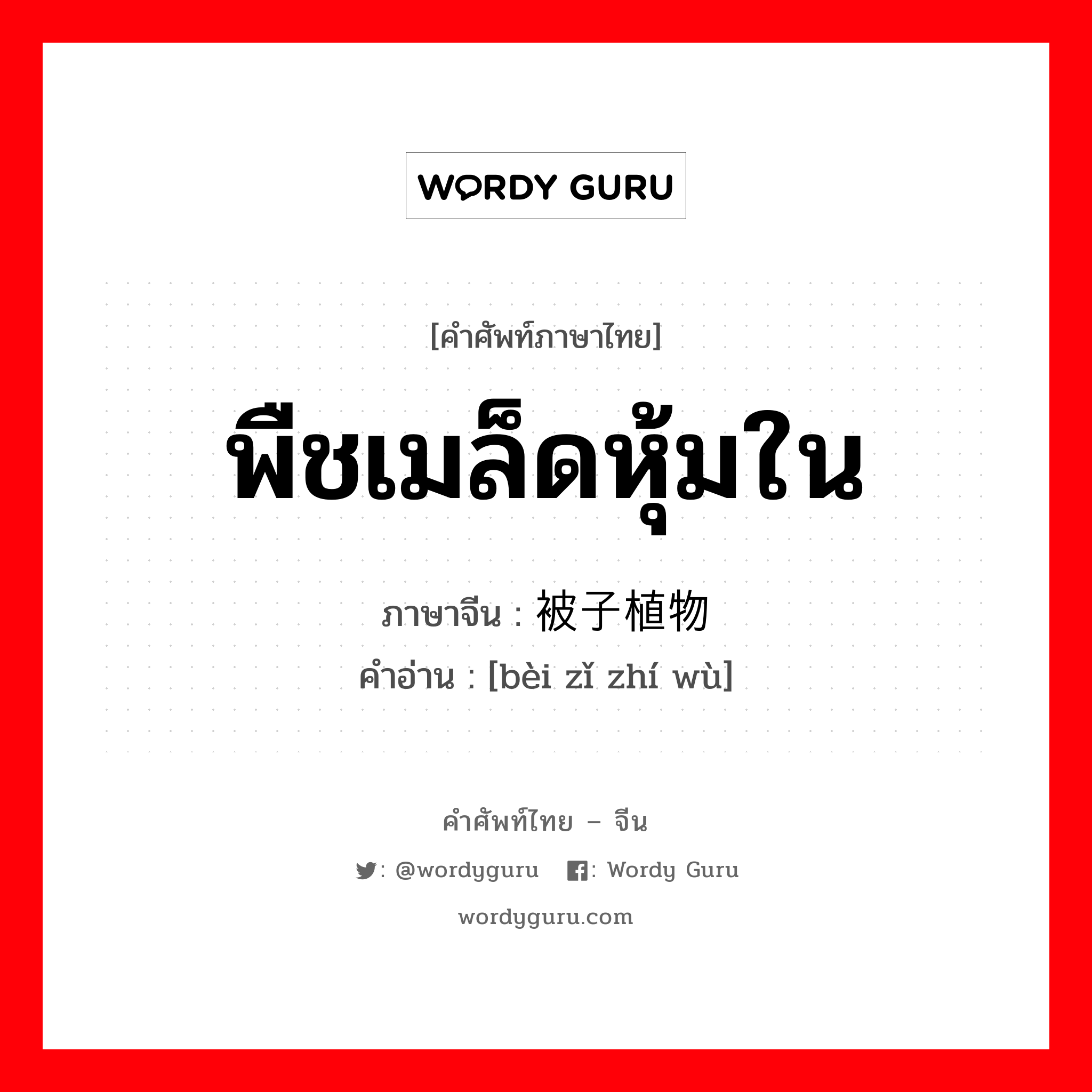 พืชเมล็ดหุ้มใน ภาษาจีนคืออะไร, คำศัพท์ภาษาไทย - จีน พืชเมล็ดหุ้มใน ภาษาจีน 被子植物 คำอ่าน [bèi zǐ zhí wù]