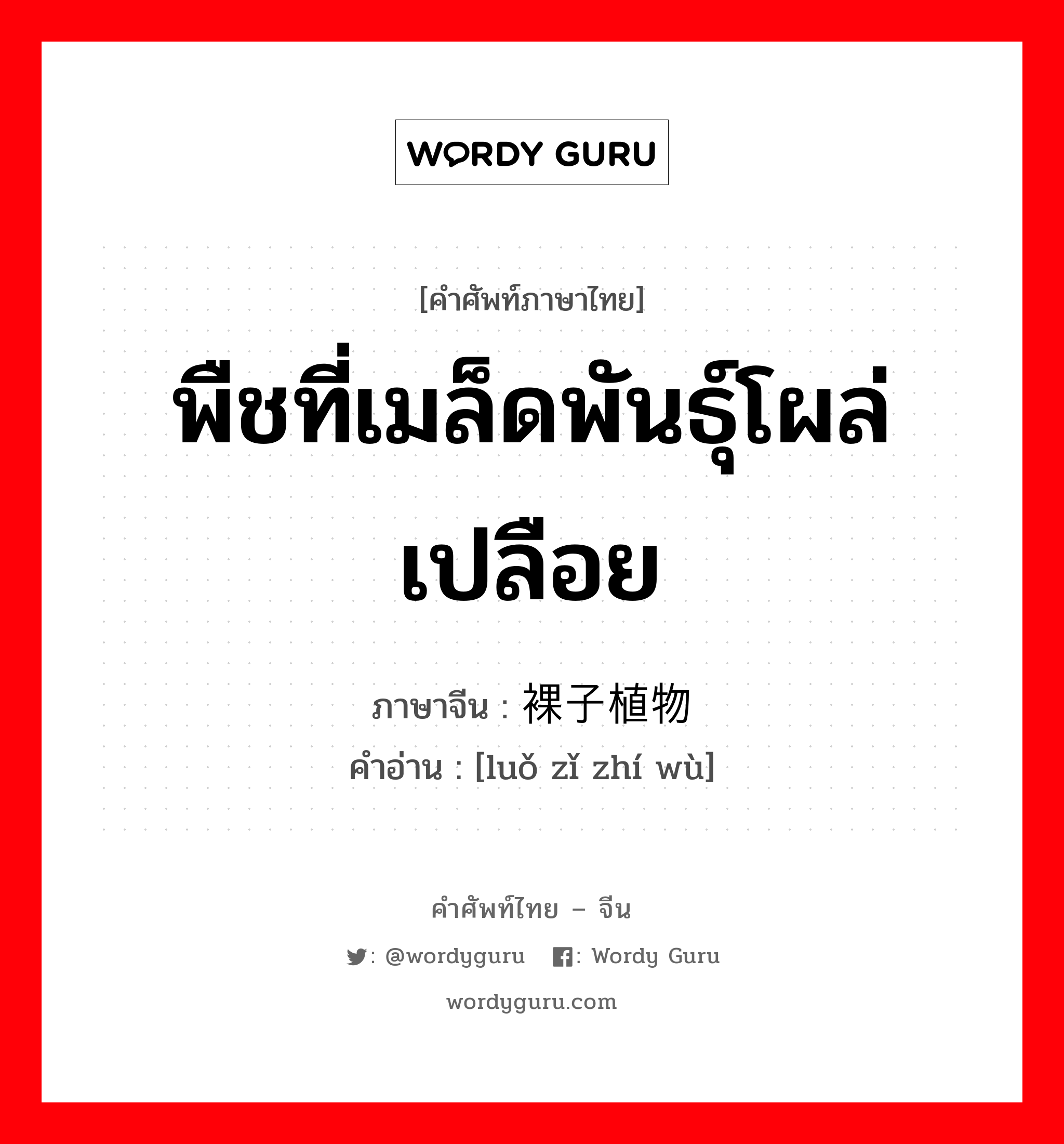 พืชที่เมล็ดพันธุ์โผล่เปลือย ภาษาจีนคืออะไร, คำศัพท์ภาษาไทย - จีน พืชที่เมล็ดพันธุ์โผล่เปลือย ภาษาจีน 裸子植物 คำอ่าน [luǒ zǐ zhí wù]