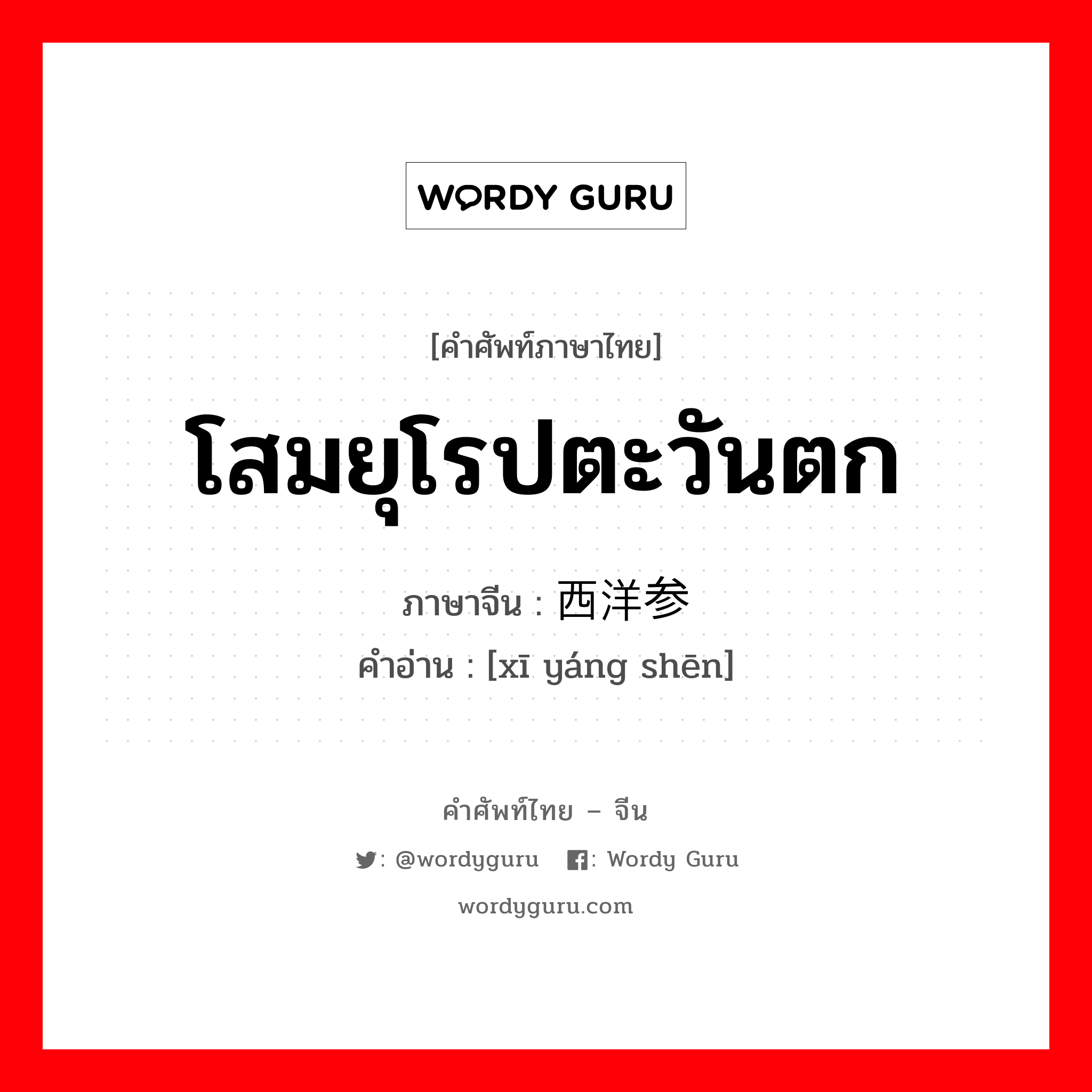 โสมยุโรปตะวันตก ภาษาจีนคืออะไร, คำศัพท์ภาษาไทย - จีน โสมยุโรปตะวันตก ภาษาจีน 西洋参 คำอ่าน [xī yáng shēn]