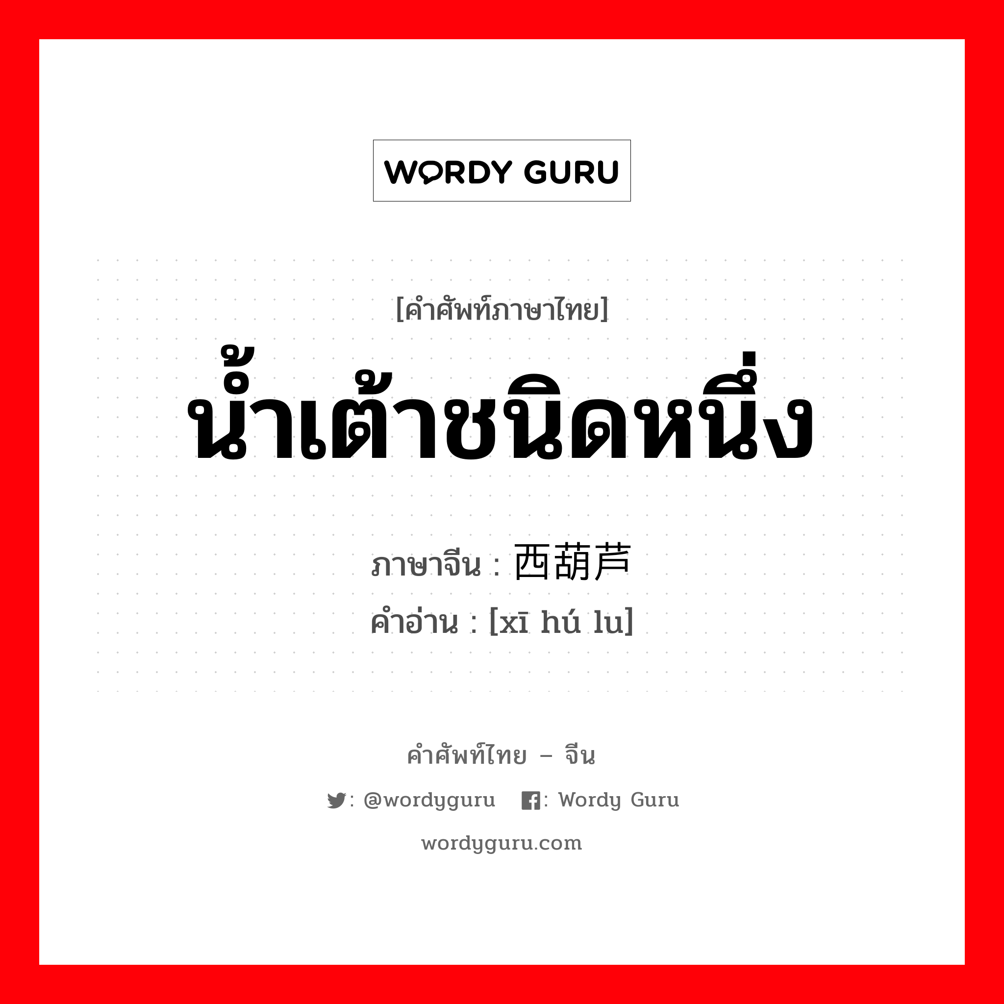 น้ำเต้าชนิดหนึ่ง ภาษาจีนคืออะไร, คำศัพท์ภาษาไทย - จีน น้ำเต้าชนิดหนึ่ง ภาษาจีน 西葫芦 คำอ่าน [xī hú lu]