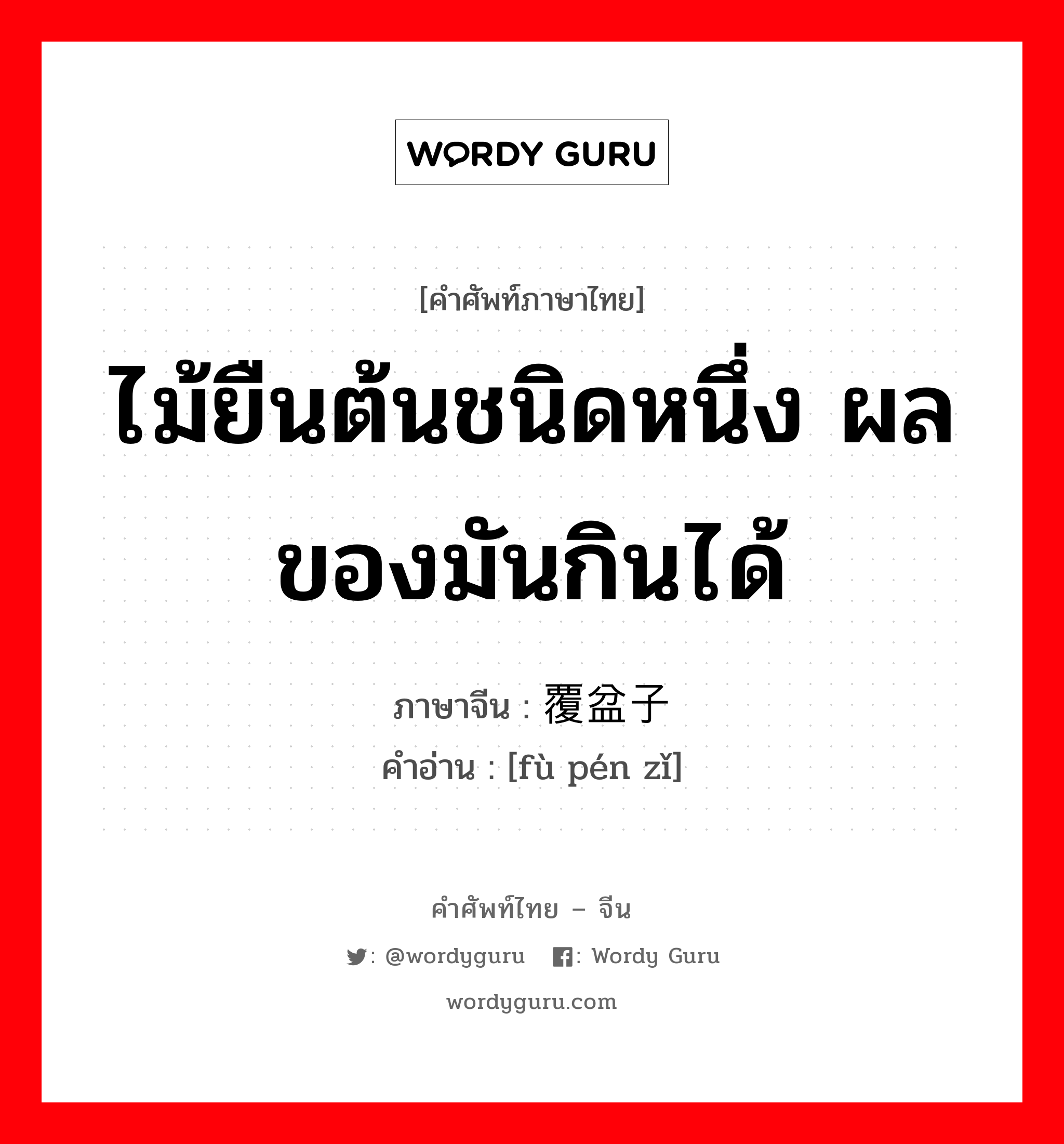 ไม้ยืนต้นชนิดหนึ่ง ผลของมันกินได้ ภาษาจีนคืออะไร, คำศัพท์ภาษาไทย - จีน ไม้ยืนต้นชนิดหนึ่ง ผลของมันกินได้ ภาษาจีน 覆盆子 คำอ่าน [fù pén zǐ]