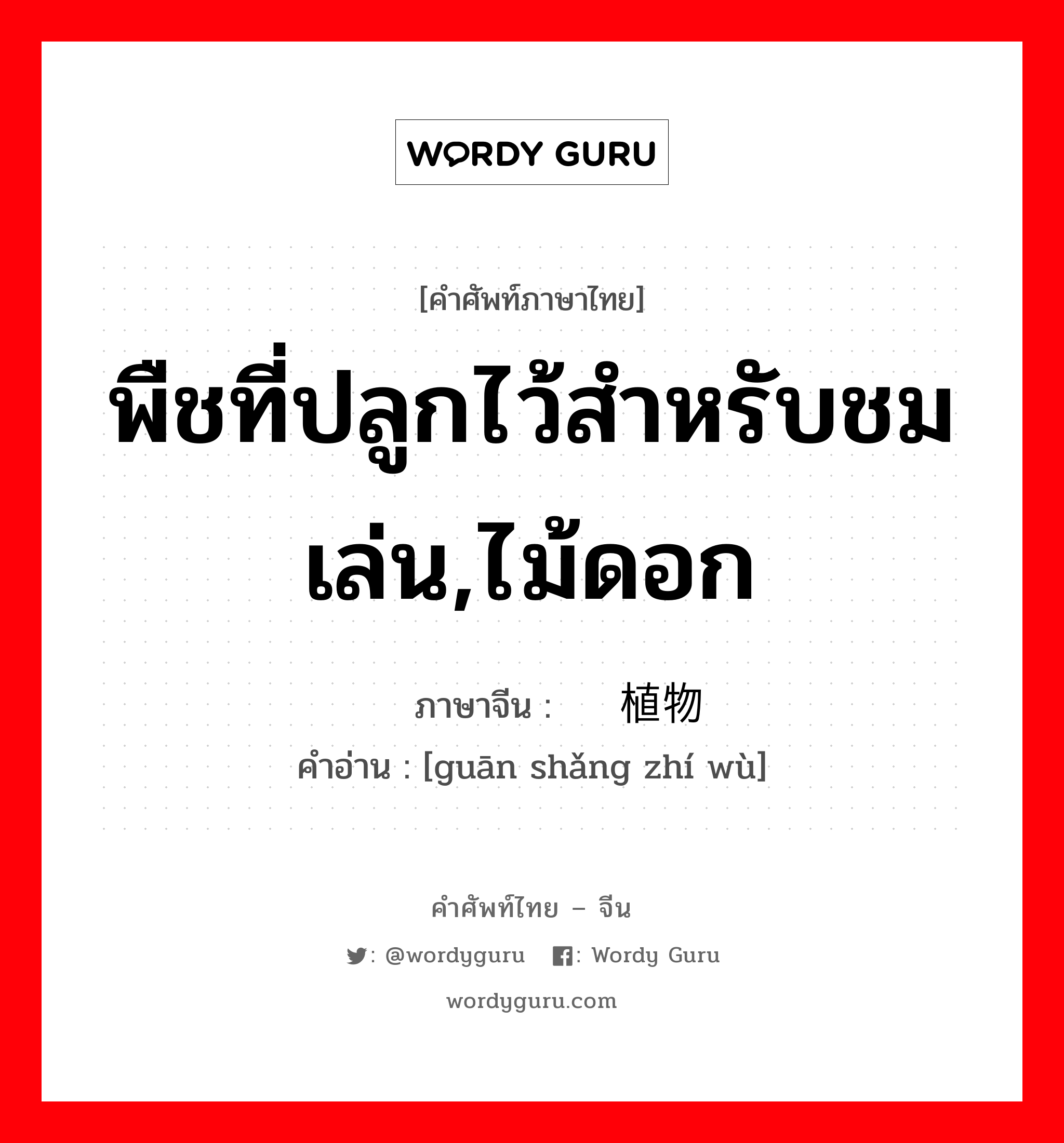 พืชที่ปลูกไว้สำหรับชมเล่น,ไม้ดอก ภาษาจีนคืออะไร, คำศัพท์ภาษาไทย - จีน พืชที่ปลูกไว้สำหรับชมเล่น,ไม้ดอก ภาษาจีน 观赏植物 คำอ่าน [guān shǎng zhí wù]