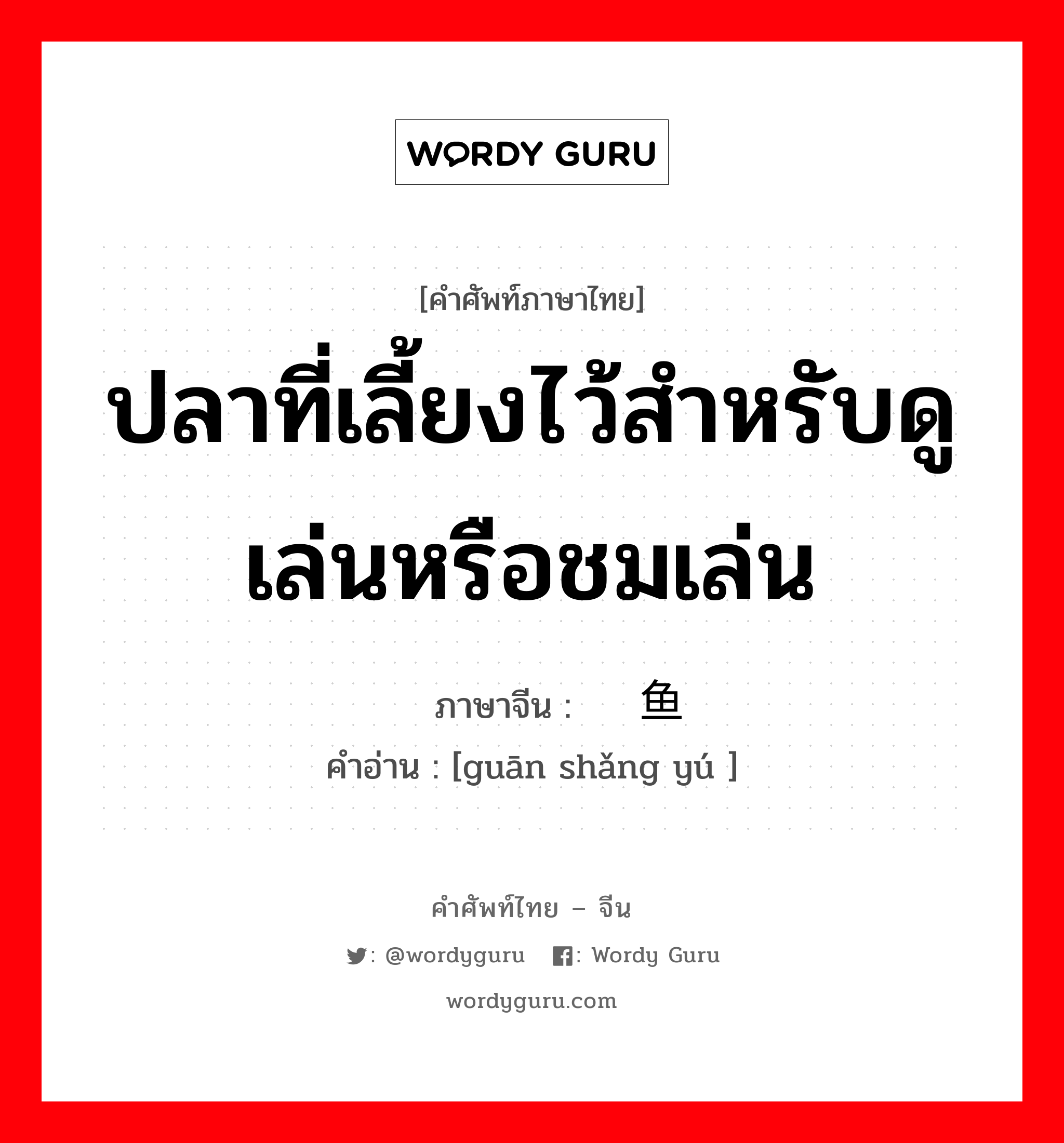 ปลาที่เลี้ยงไว้สำหรับดูเล่นหรือชมเล่น ภาษาจีนคืออะไร, คำศัพท์ภาษาไทย - จีน ปลาที่เลี้ยงไว้สำหรับดูเล่นหรือชมเล่น ภาษาจีน 观赏鱼 คำอ่าน [guān shǎng yú ]