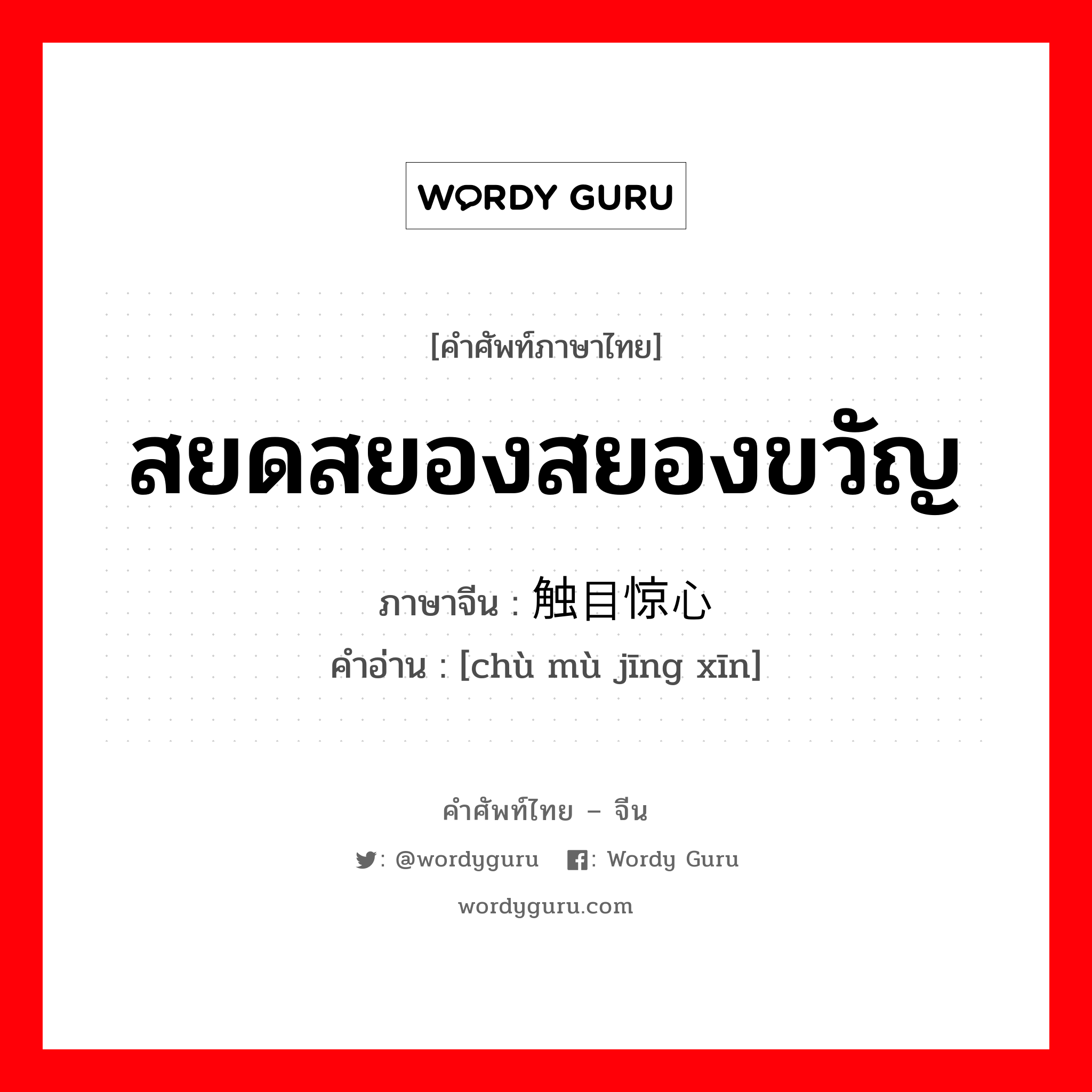 สยดสยองสยองขวัญ ภาษาจีนคืออะไร, คำศัพท์ภาษาไทย - จีน สยดสยองสยองขวัญ ภาษาจีน 触目惊心 คำอ่าน [chù mù jīng xīn]