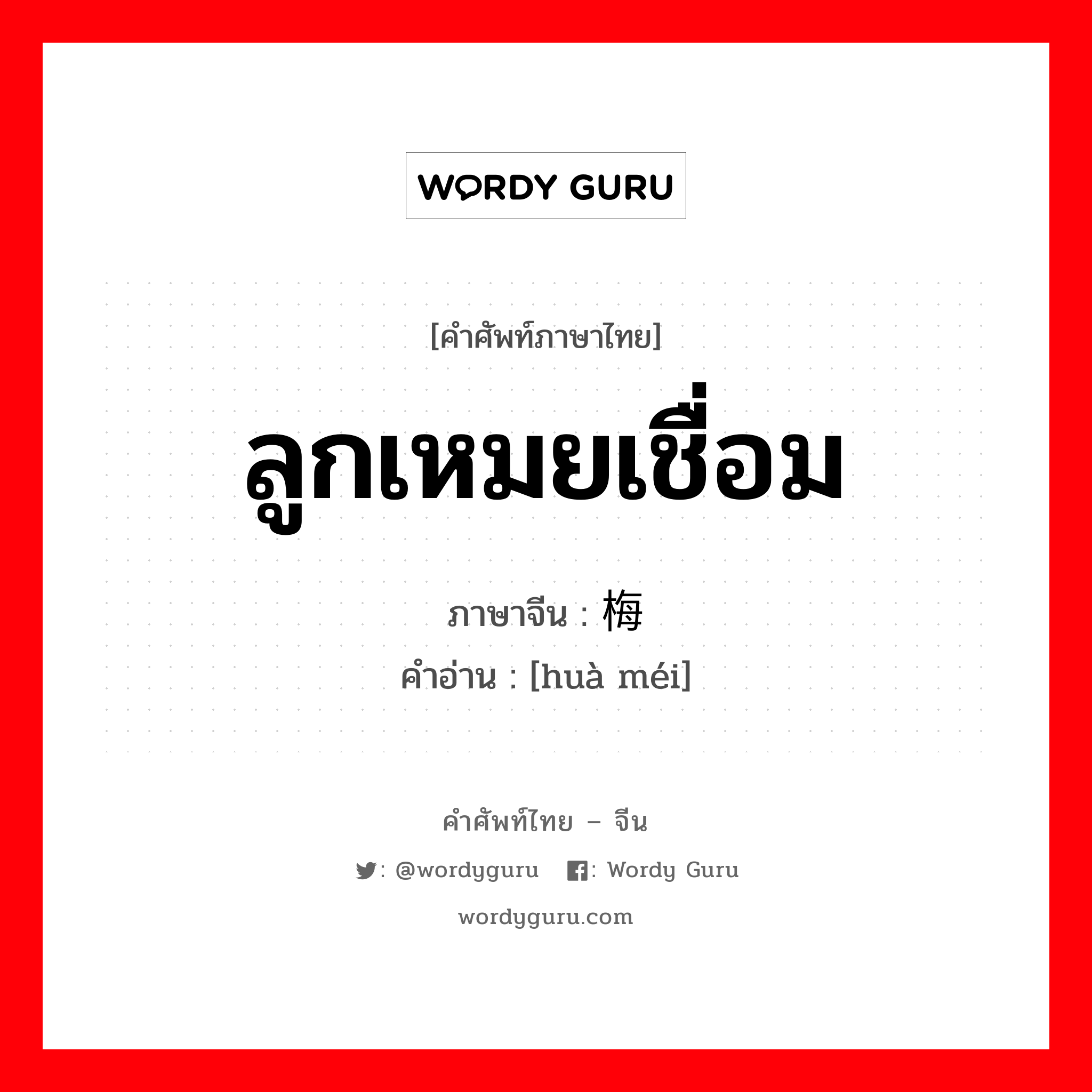 ลูกเหมยเชื่อม ภาษาจีนคืออะไร, คำศัพท์ภาษาไทย - จีน ลูกเหมยเชื่อม ภาษาจีน 话梅 คำอ่าน [huà méi]