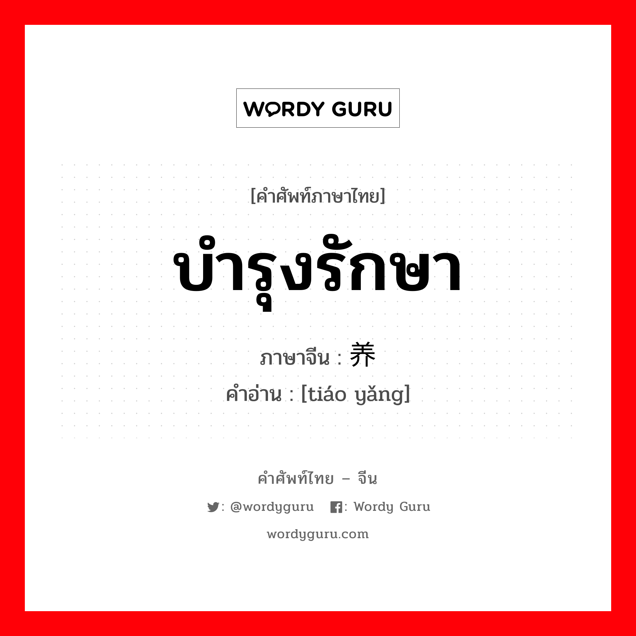 บำรุงรักษา ภาษาจีนคืออะไร, คำศัพท์ภาษาไทย - จีน บำรุงรักษา ภาษาจีน 调养 คำอ่าน [tiáo yǎng]