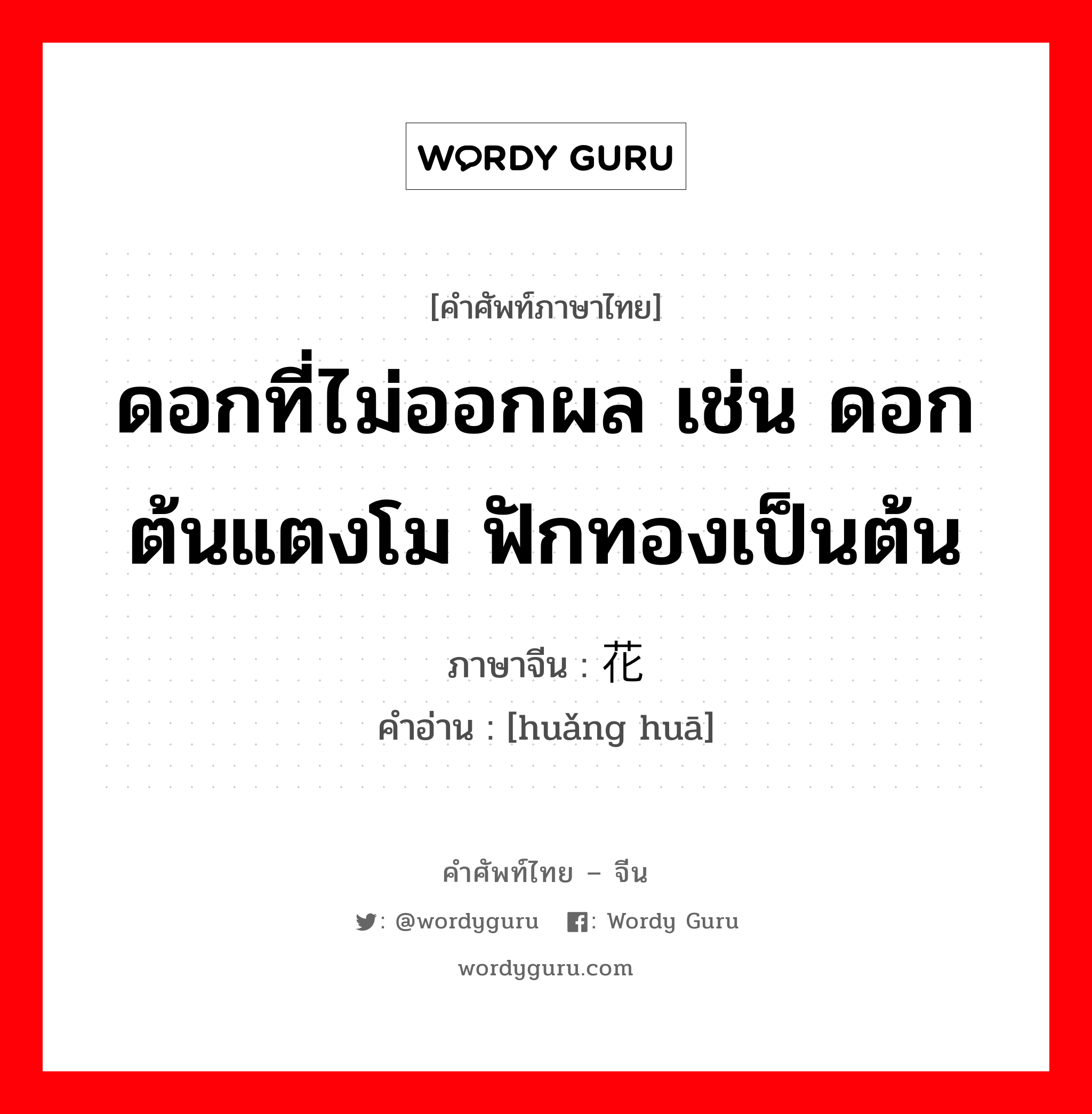 ดอกที่ไม่ออกผล เช่น ดอกต้นแตงโม ฟักทองเป็นต้น ภาษาจีนคืออะไร, คำศัพท์ภาษาไทย - จีน ดอกที่ไม่ออกผล เช่น ดอกต้นแตงโม ฟักทองเป็นต้น ภาษาจีน 谎花 คำอ่าน [huǎng huā]